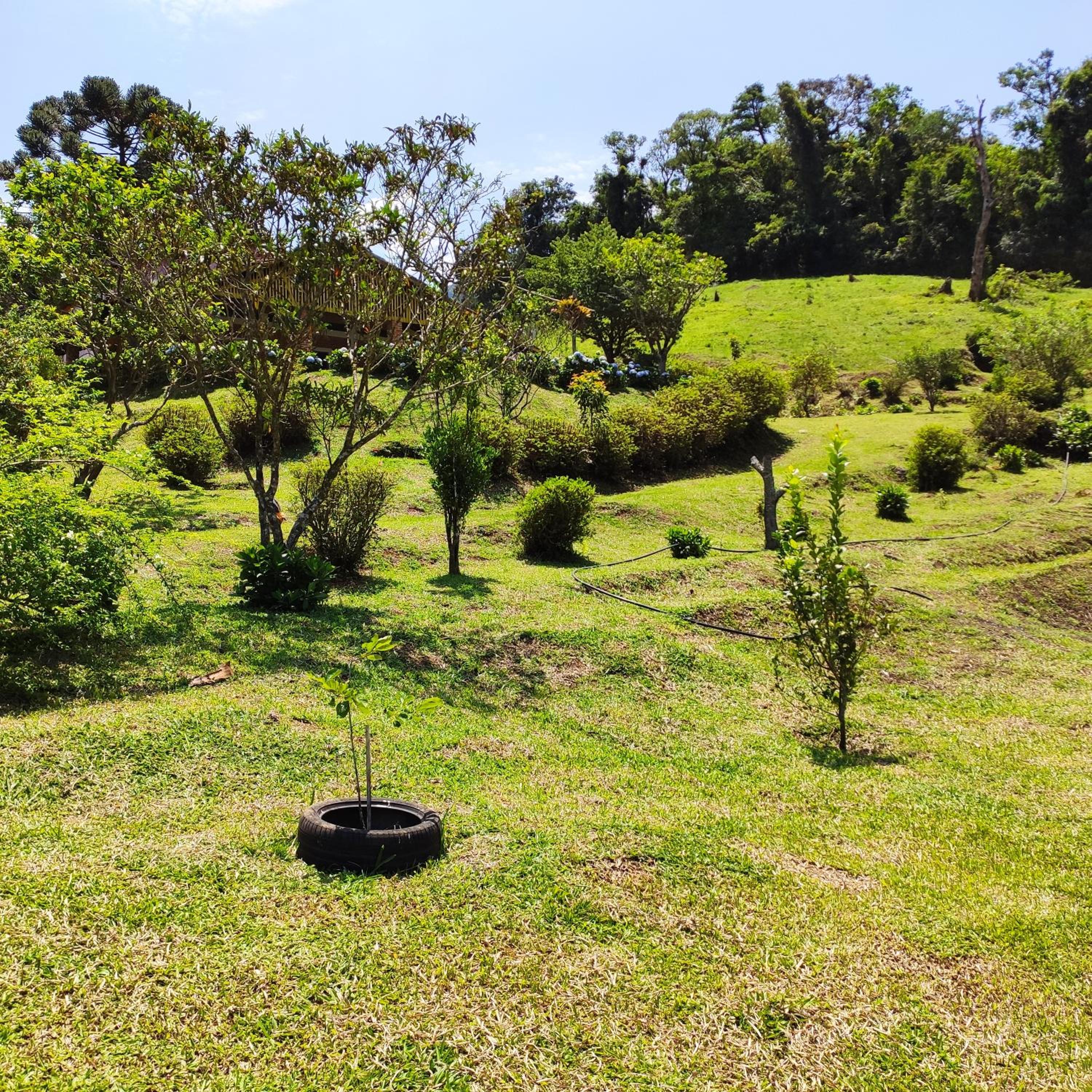 Sitio na Serra da Mantiqueira Águas do Canjarana