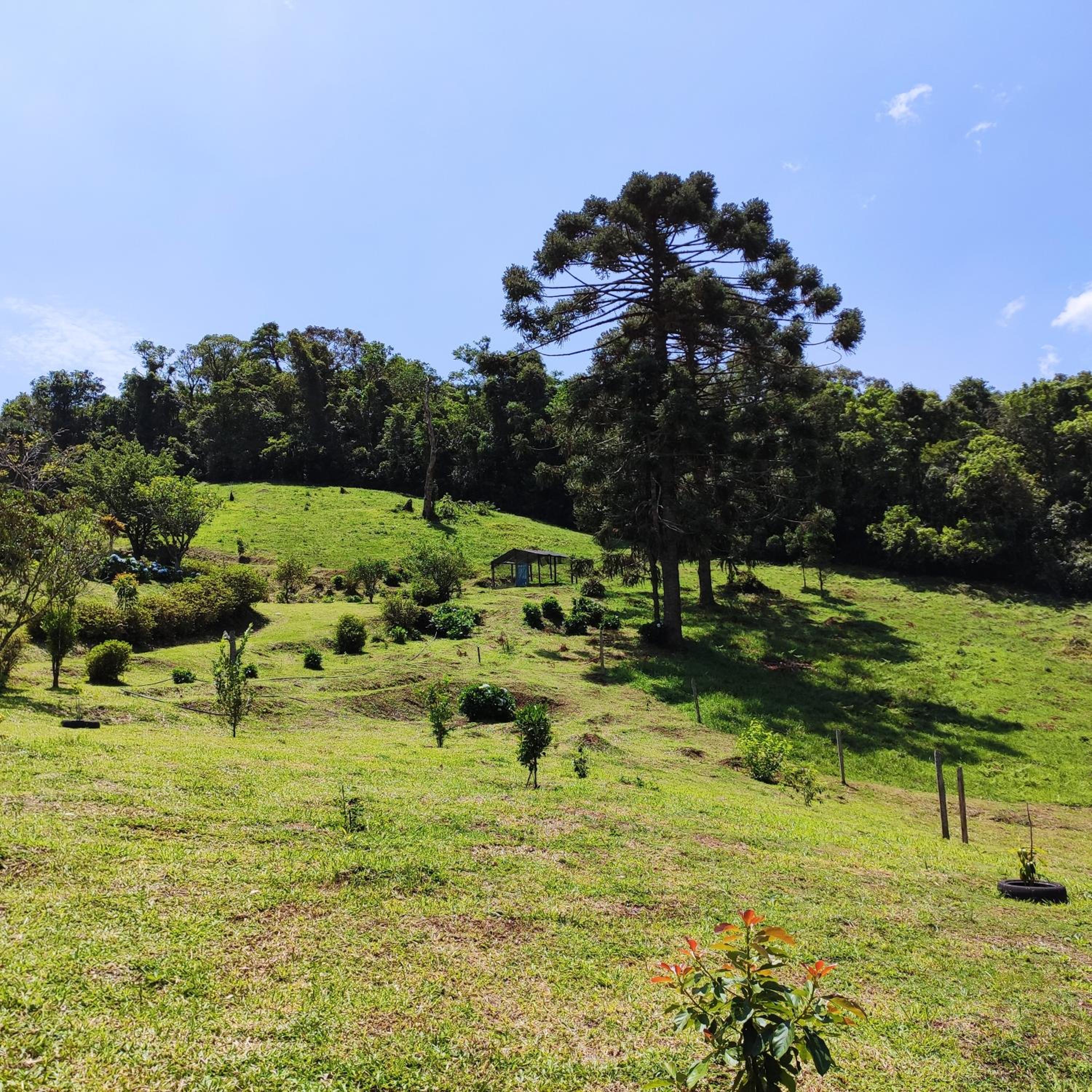 Sitio na Serra da Mantiqueira Águas do Canjarana