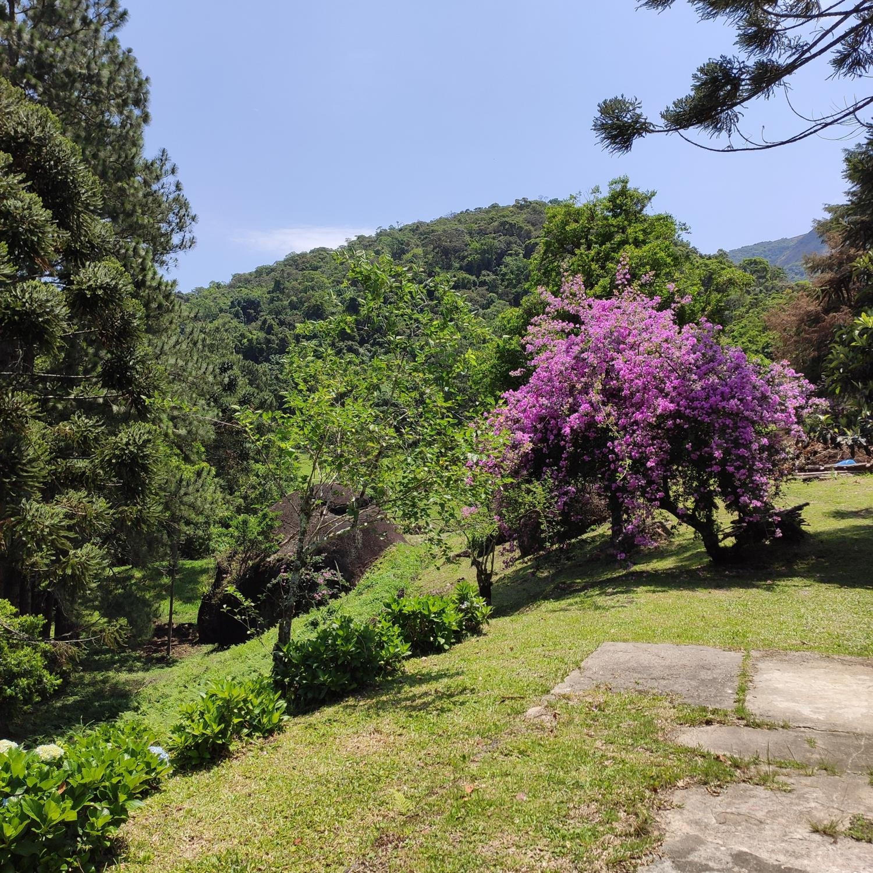 Sitio na Serra da Mantiqueira Águas do Canjarana