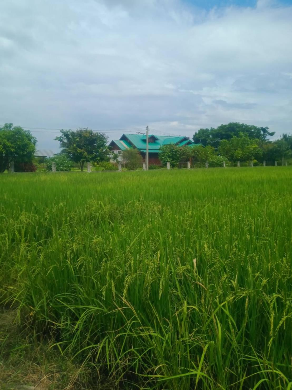 Ban Chang Klang na view 3