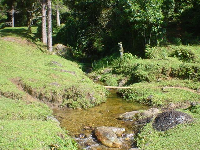 Sitio na Serra da Mantiqueira Águas do Canjarana