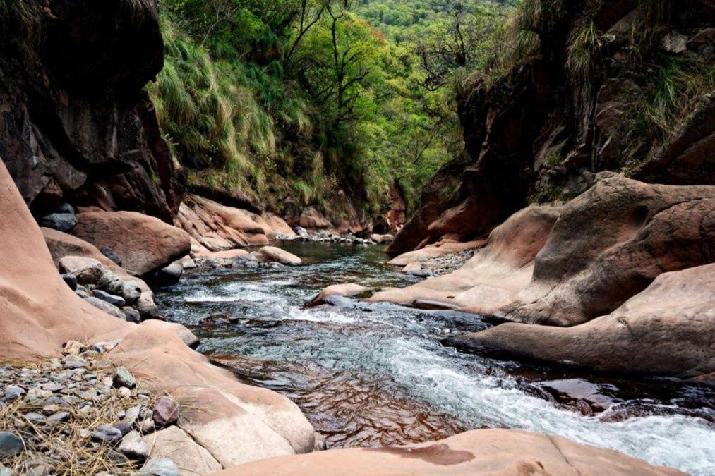 Cabañas Canto a Jujuy- acceso privado al Rio