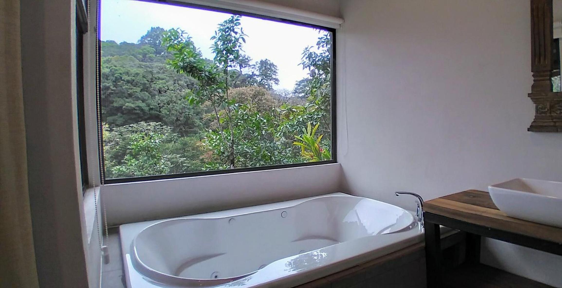 Olingo Monteverde - Stunning Home Near Adventure Parks