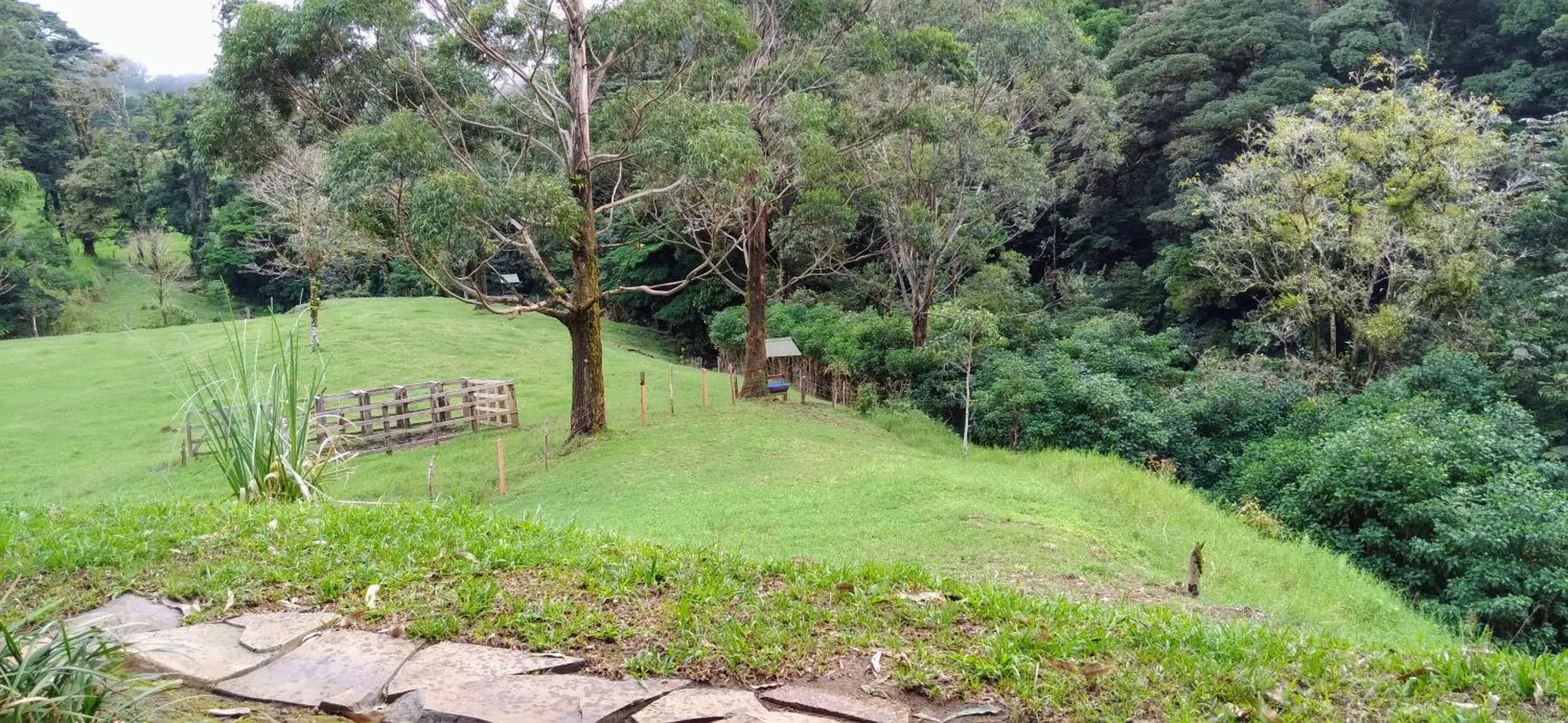 Olingo Monteverde - Stunning Home Near Adventure Parks