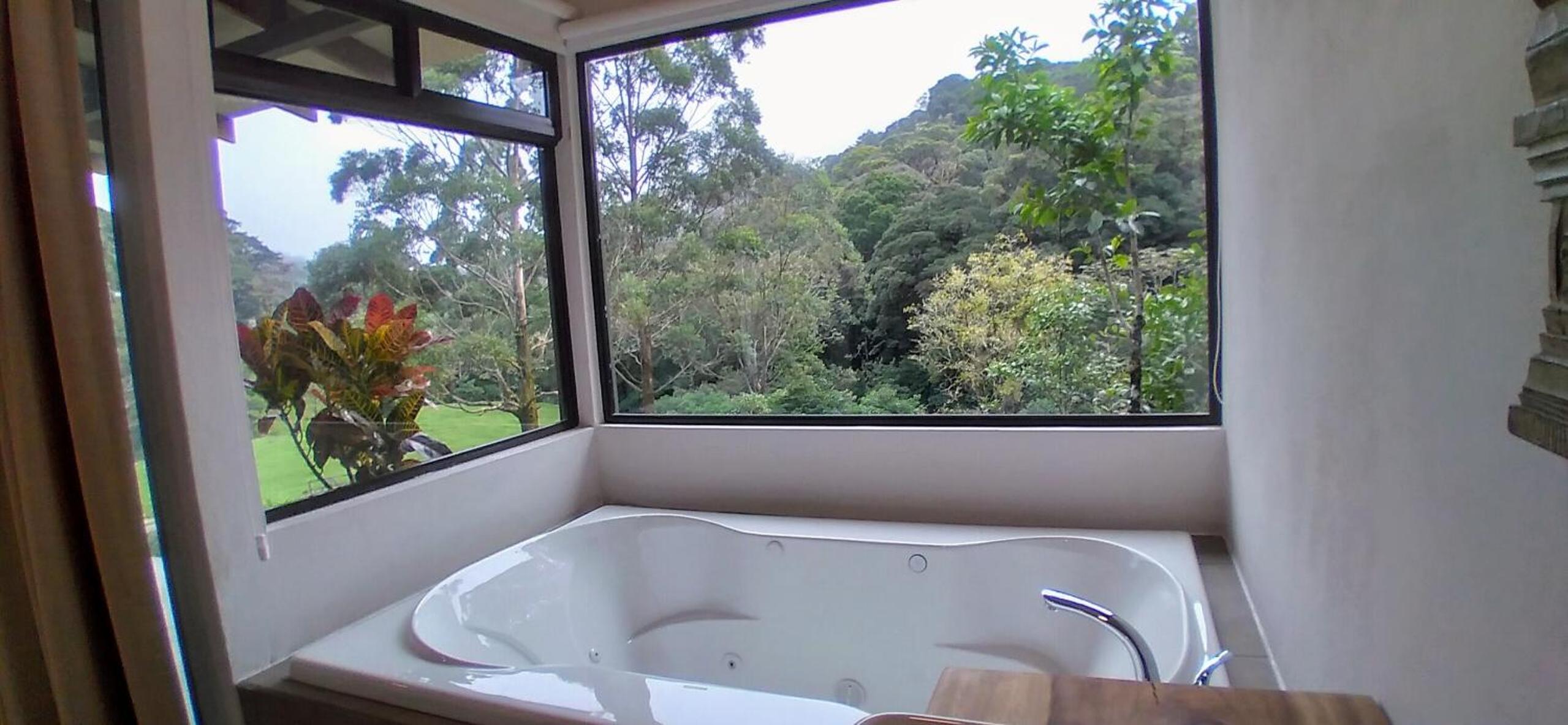 Olingo Monteverde - Stunning Home Near Adventure Parks