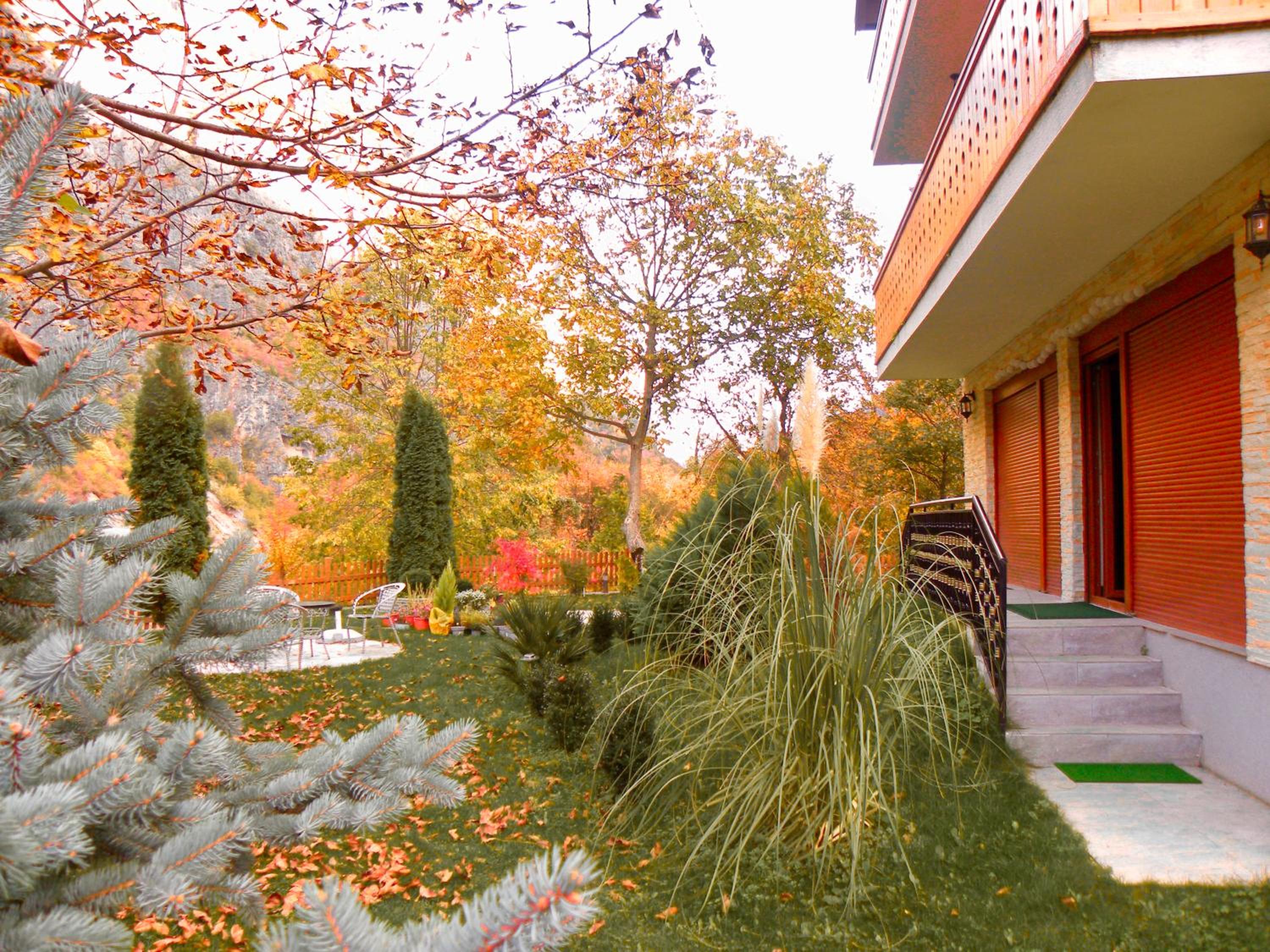Vila Alexander B&B
