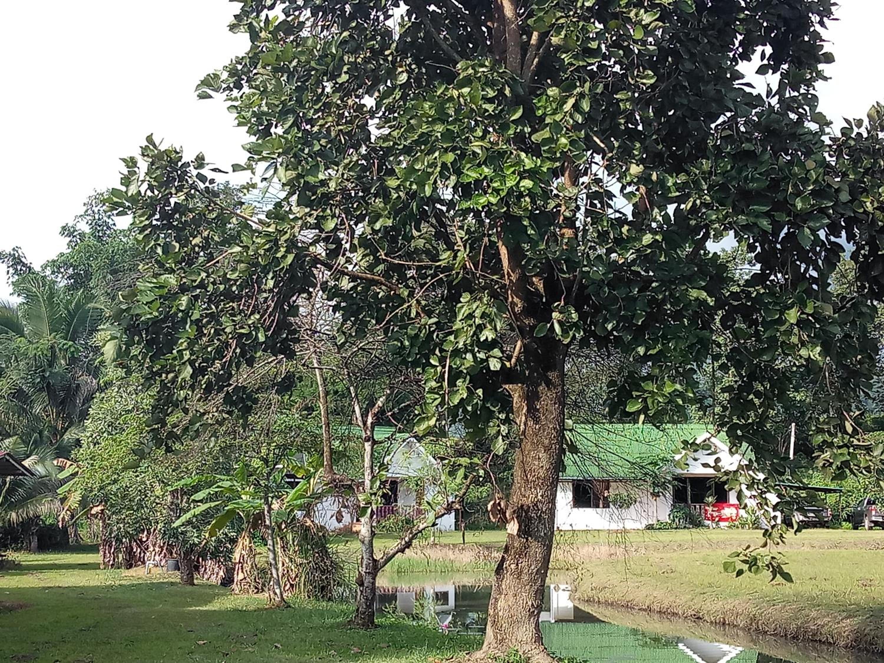 Mondala Resort