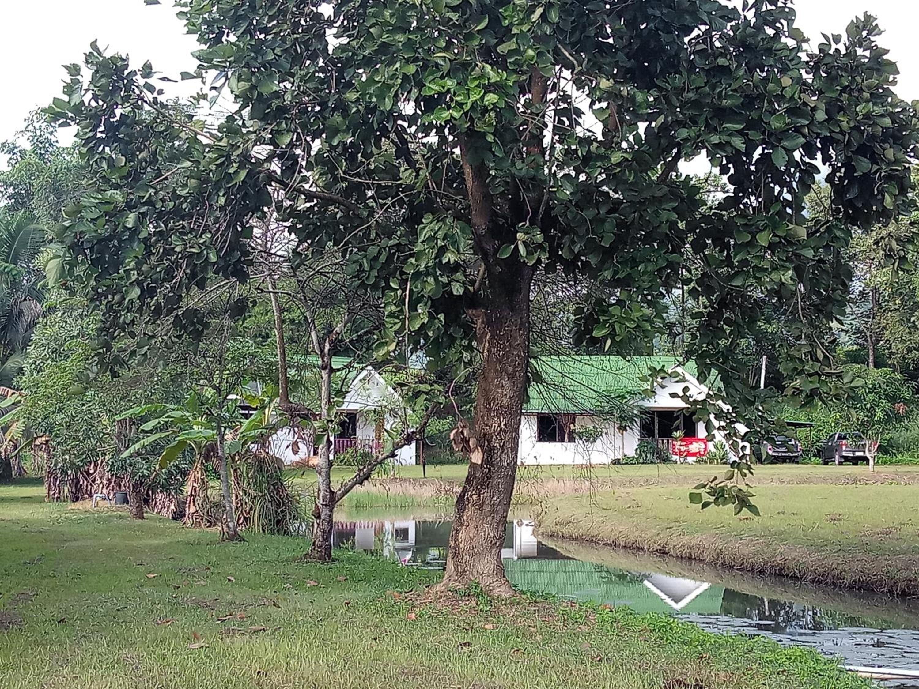 Mondala Resort