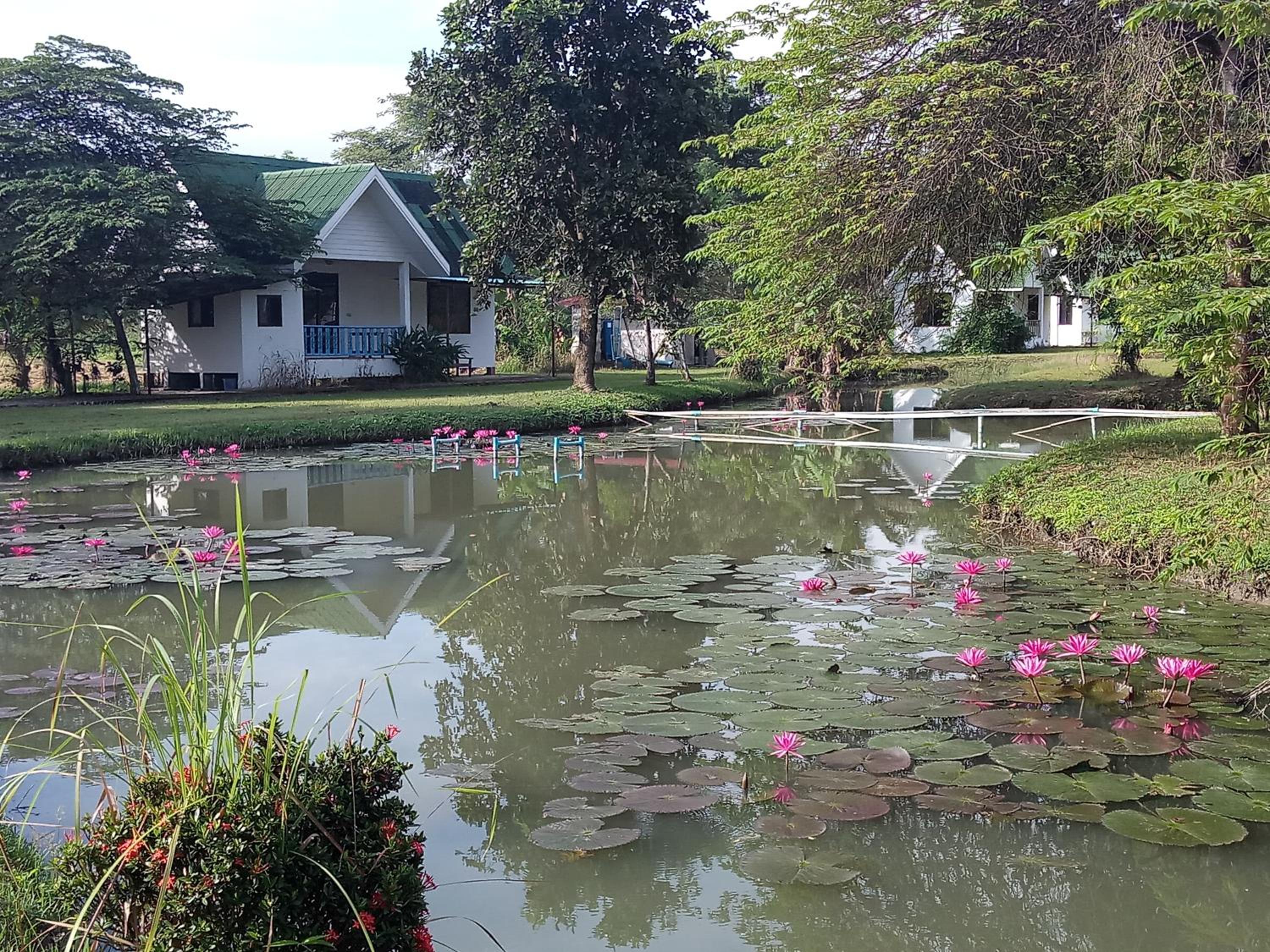 Mondala Resort