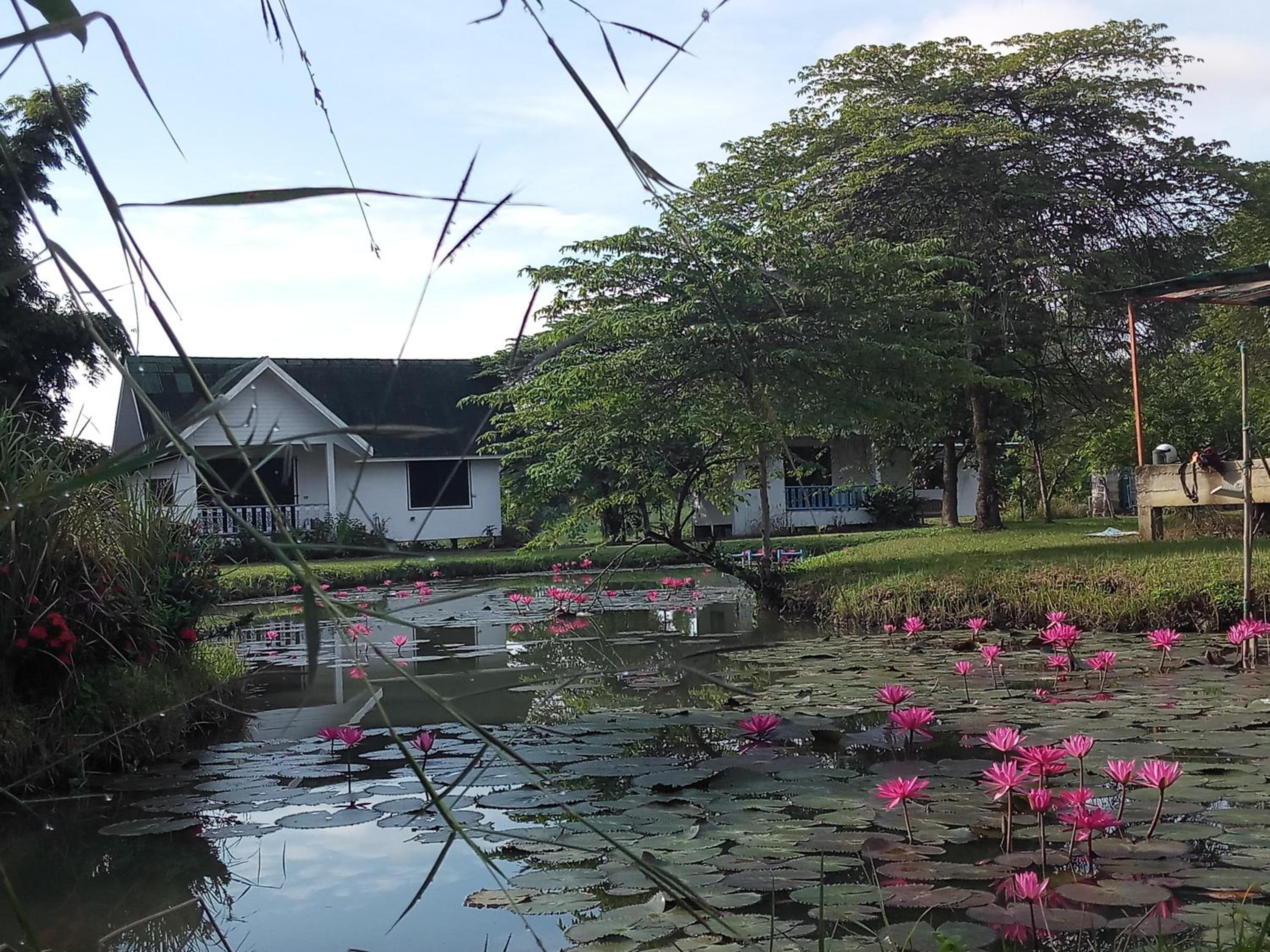 Mondala Resort