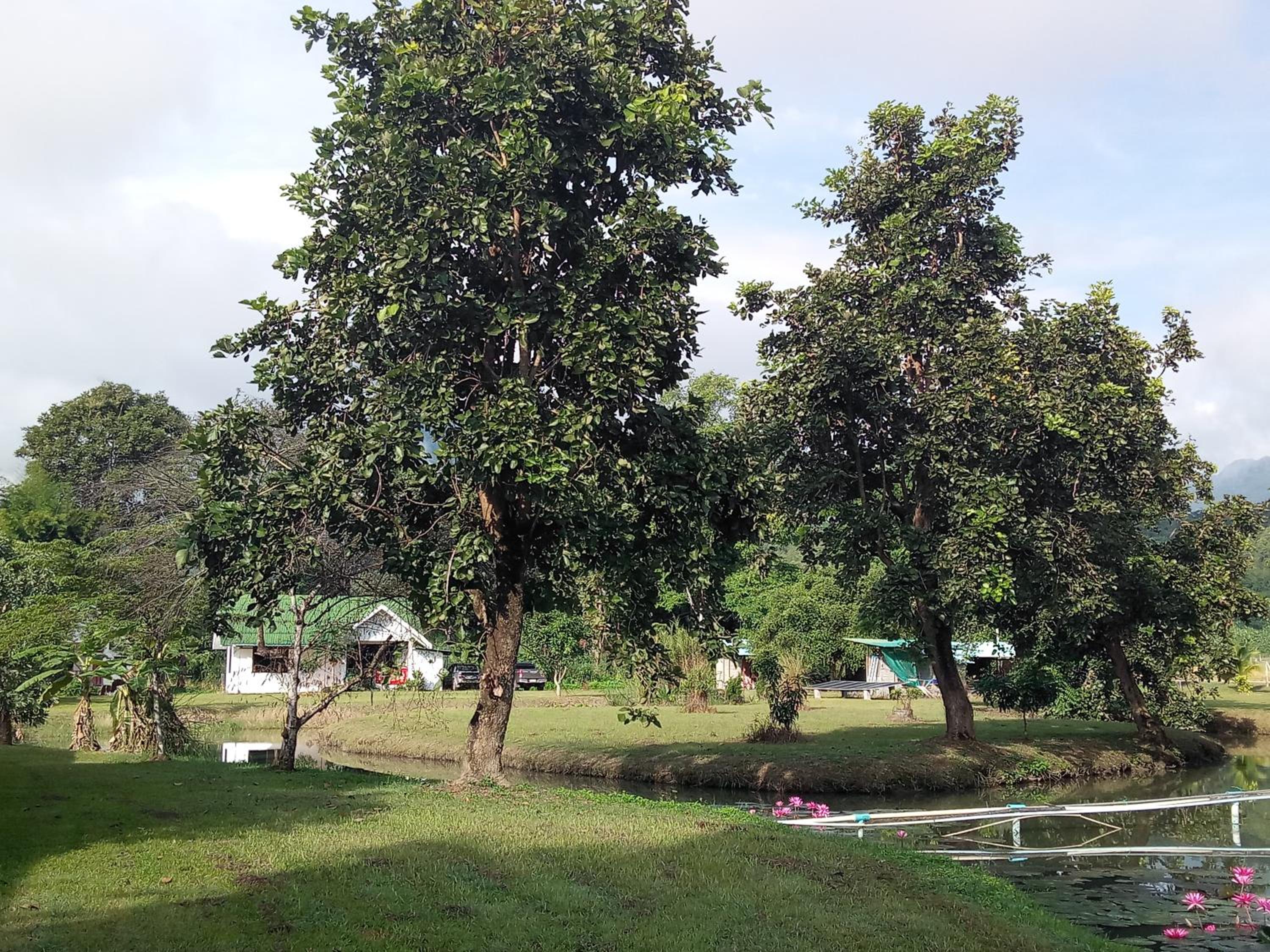 Mondala Resort