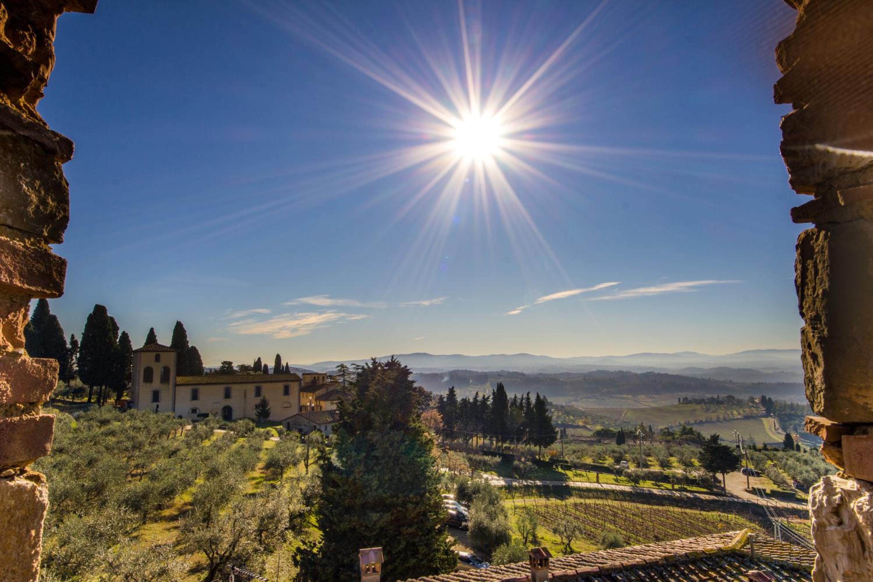 Fattoria di Cinciano view 5