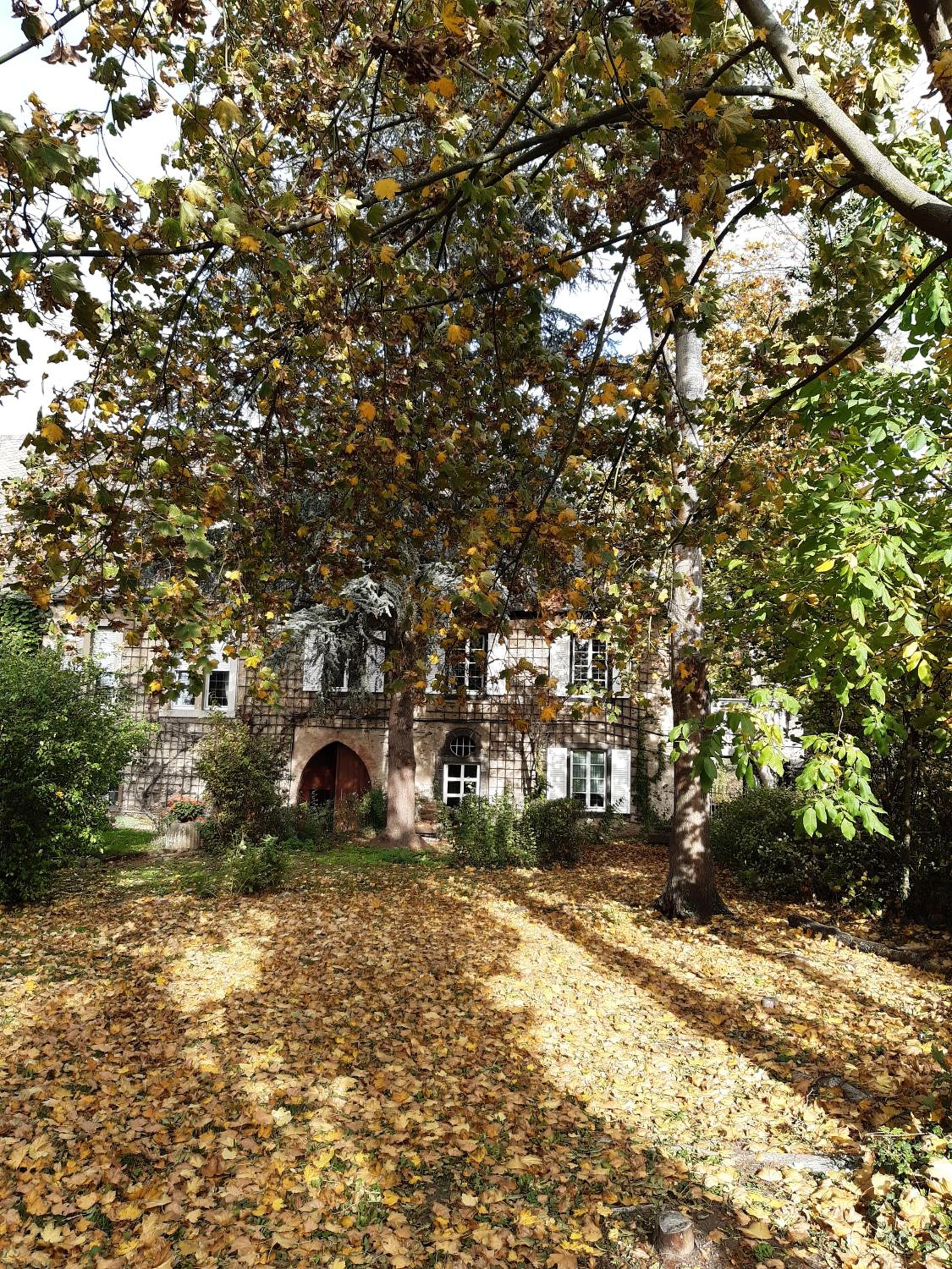 Pension Marienhof view 3