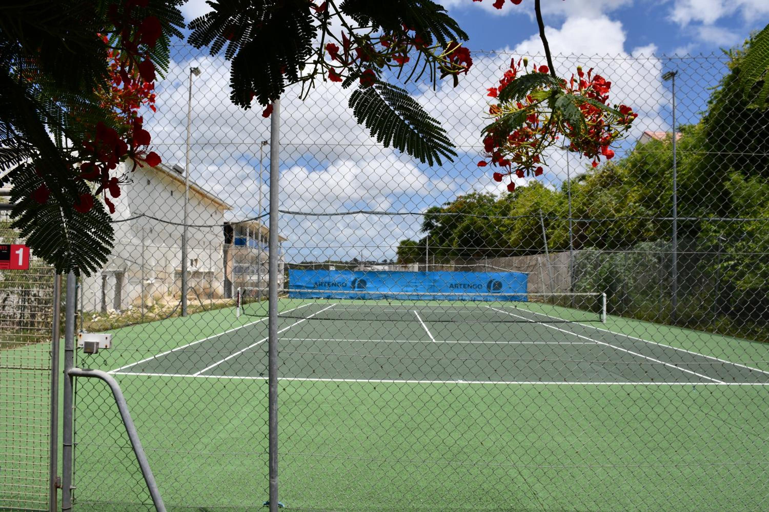 Photo 19