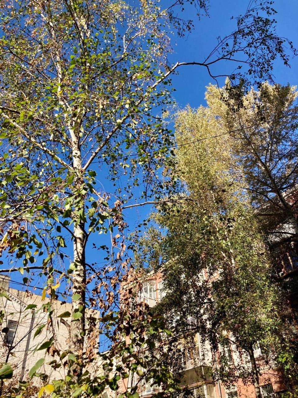 1BR apartment in the old city center (Kyïv) view 2