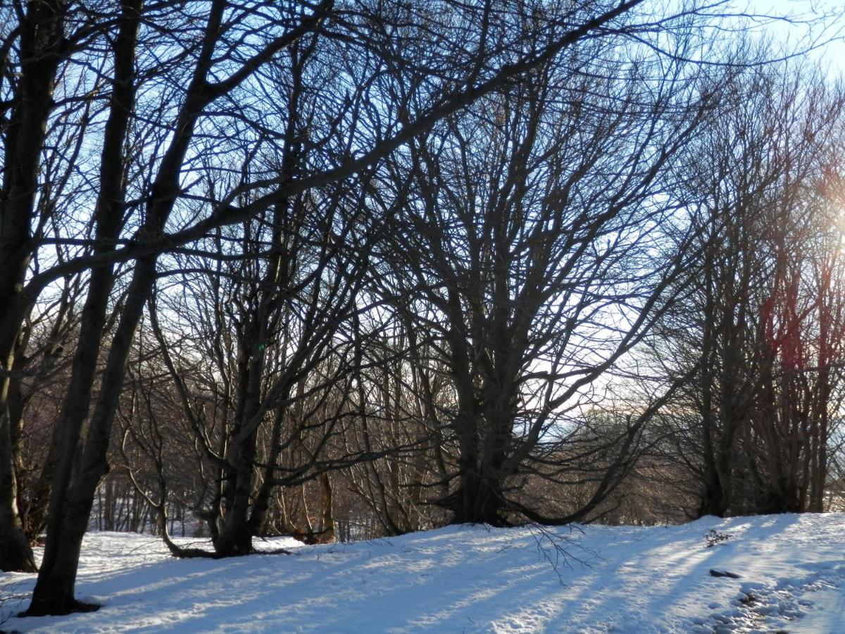 Photo 43