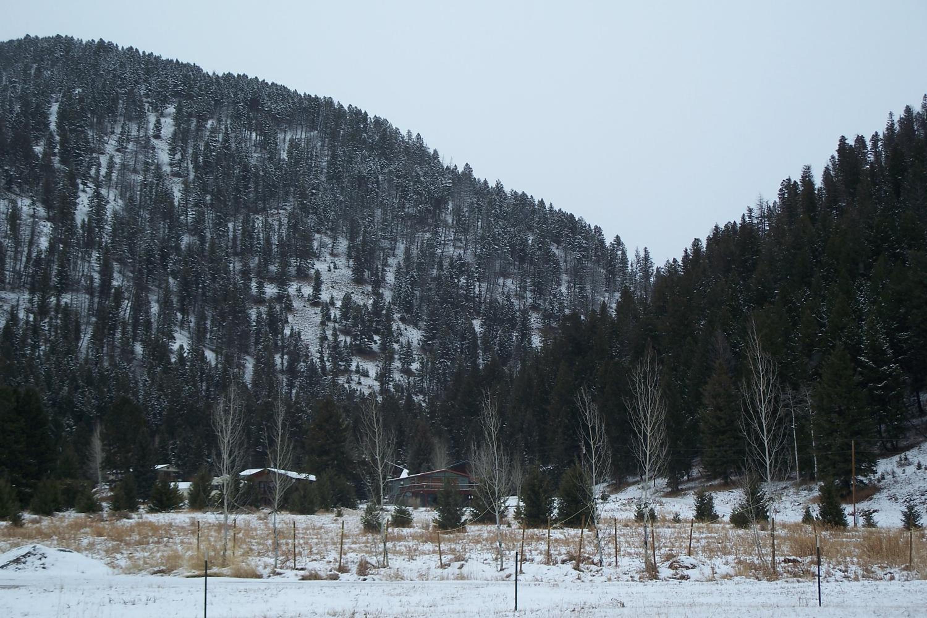 Terra Nova Cabins