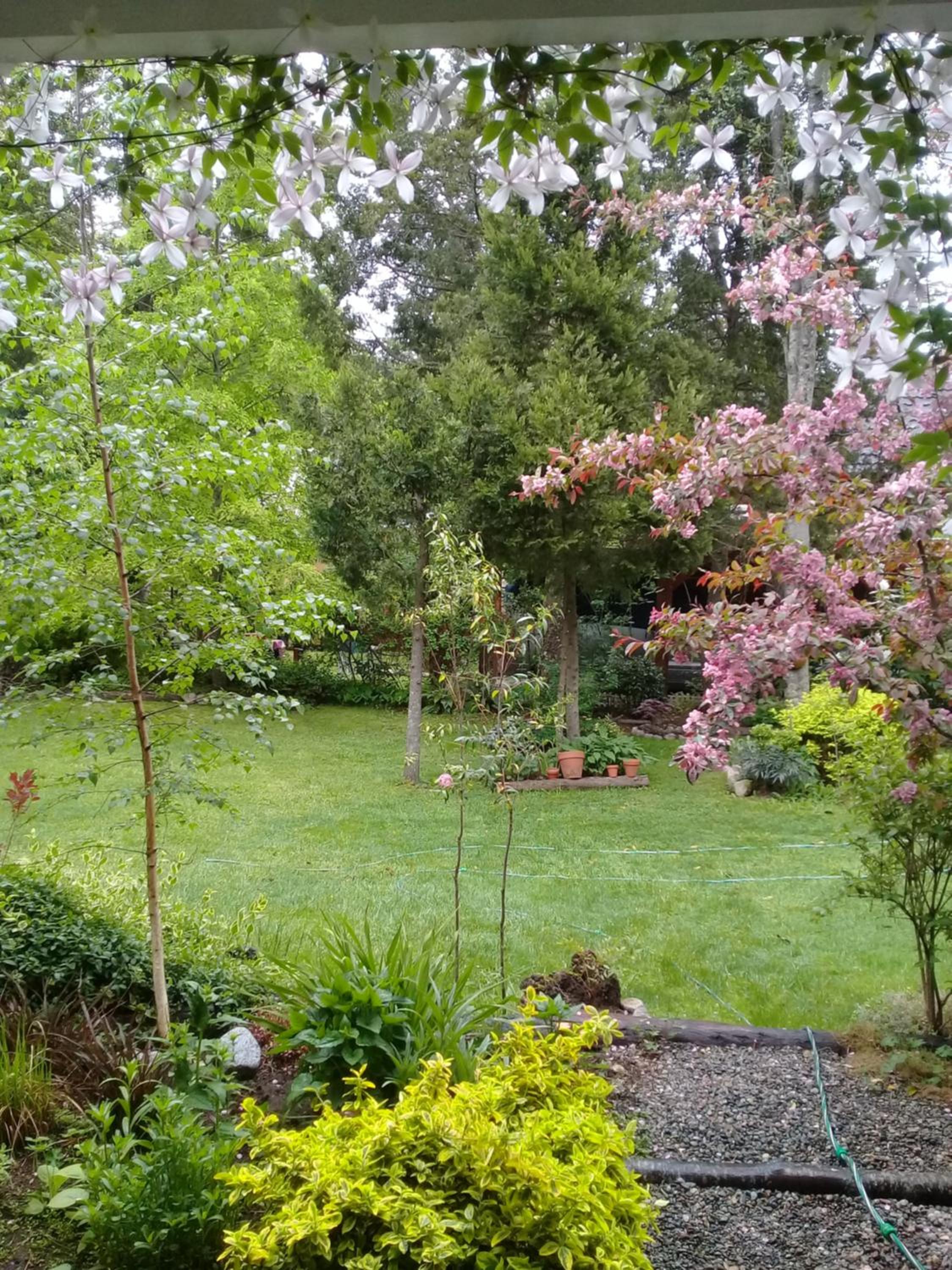 Dodo House Bed & Breakfast