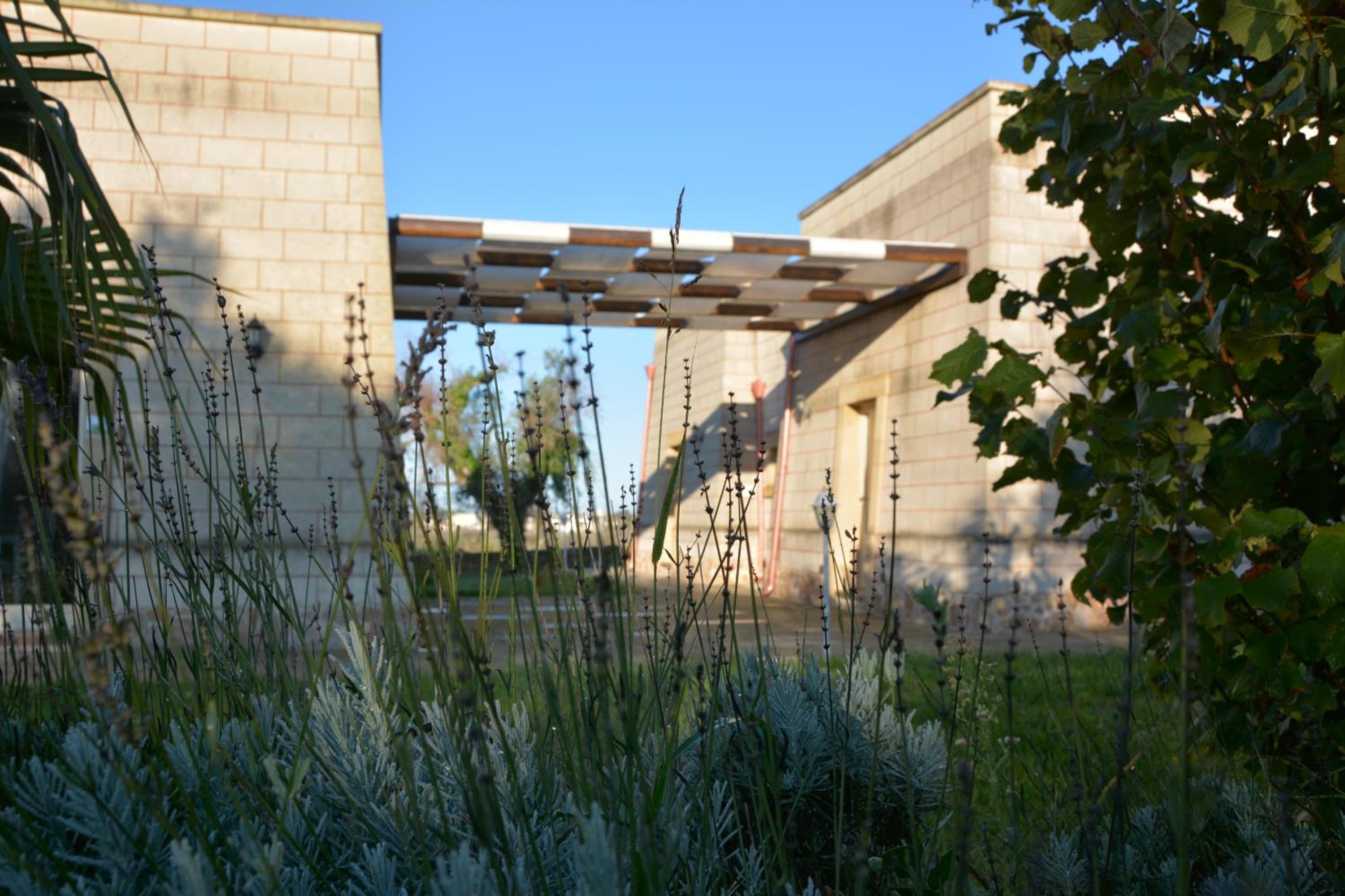 Masseria Petrusella