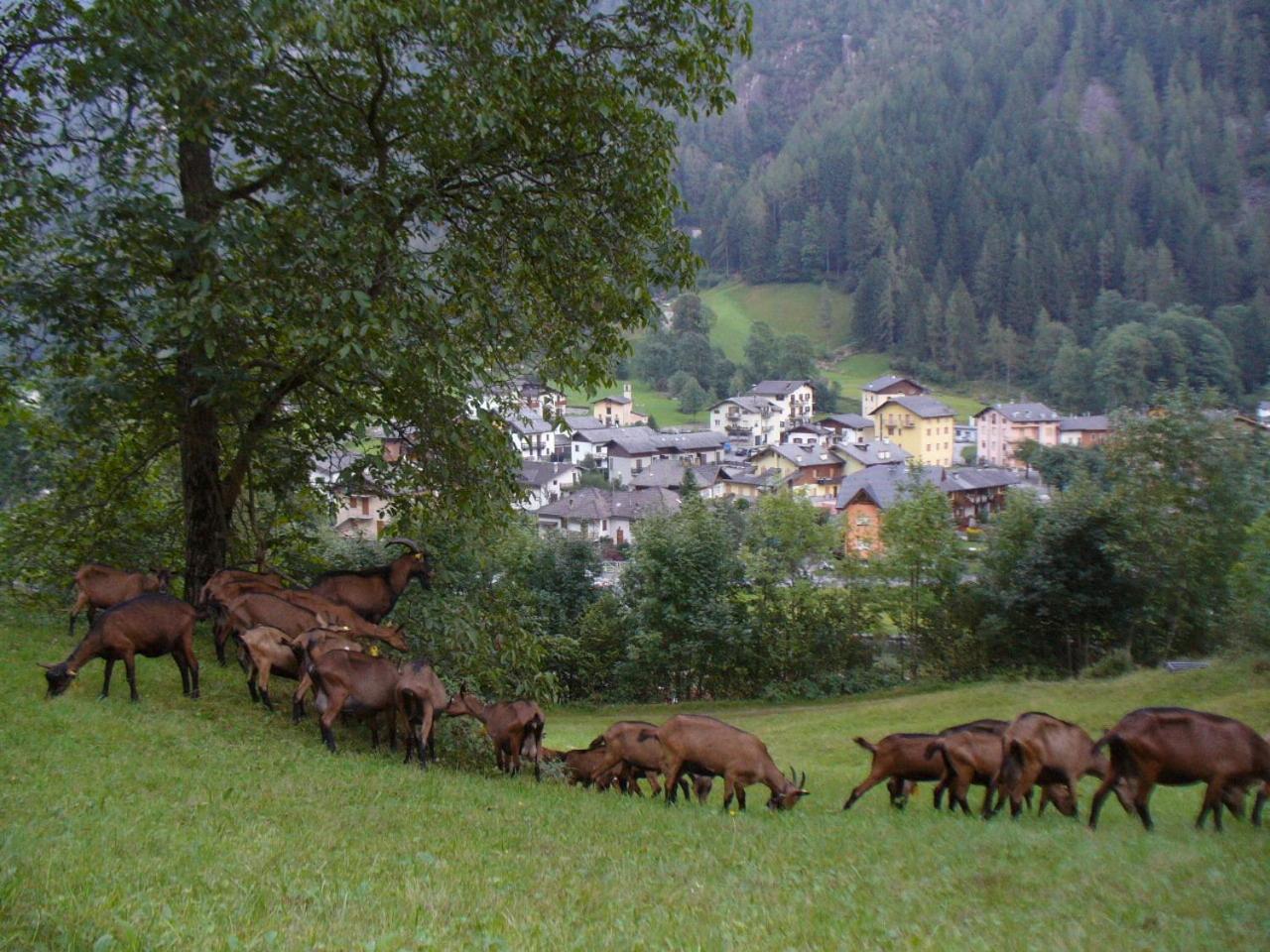 Agriturismo Alle Baite