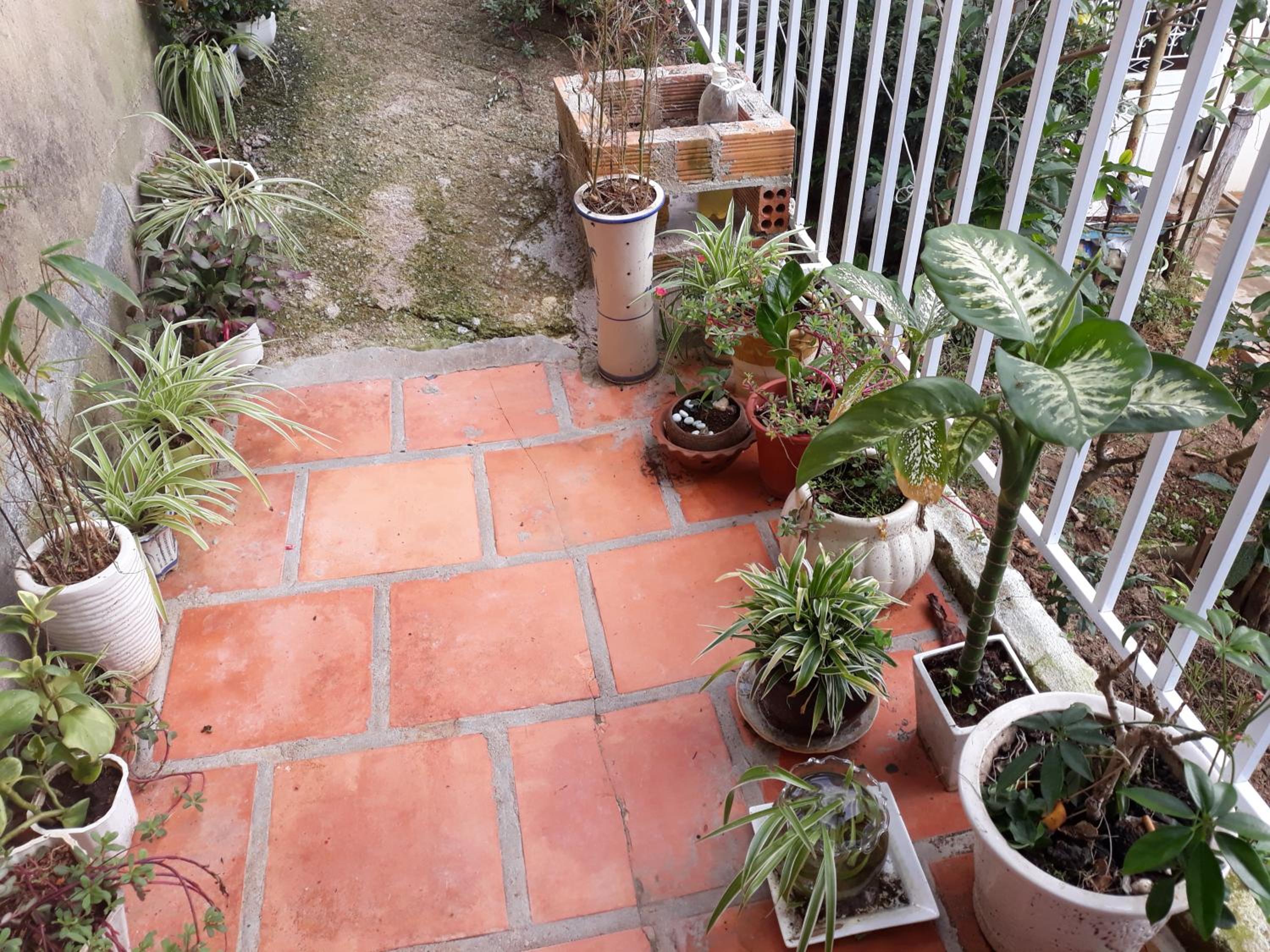 Photo 41
