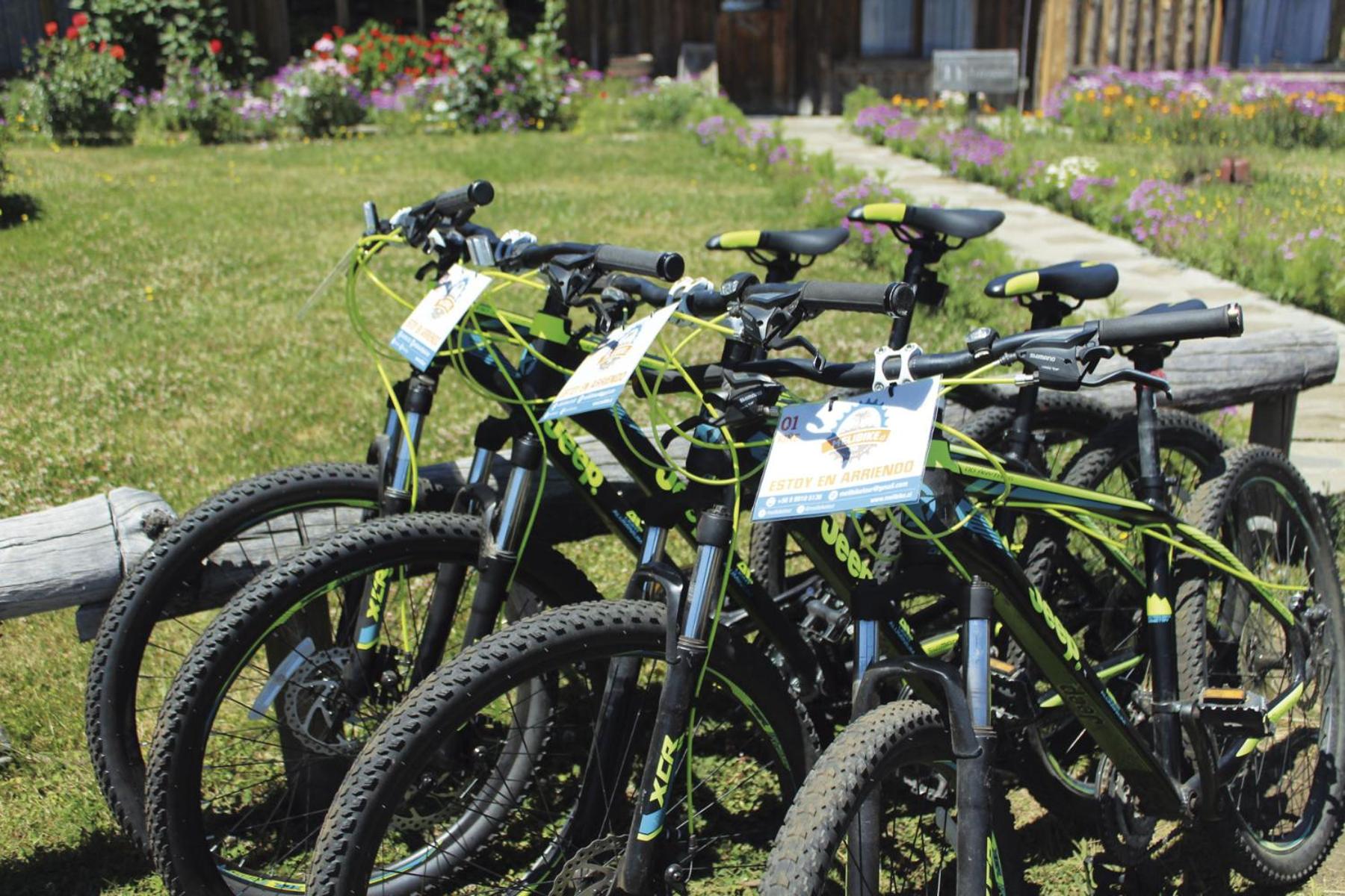 Hospedaje y Agrocamping Relmucura