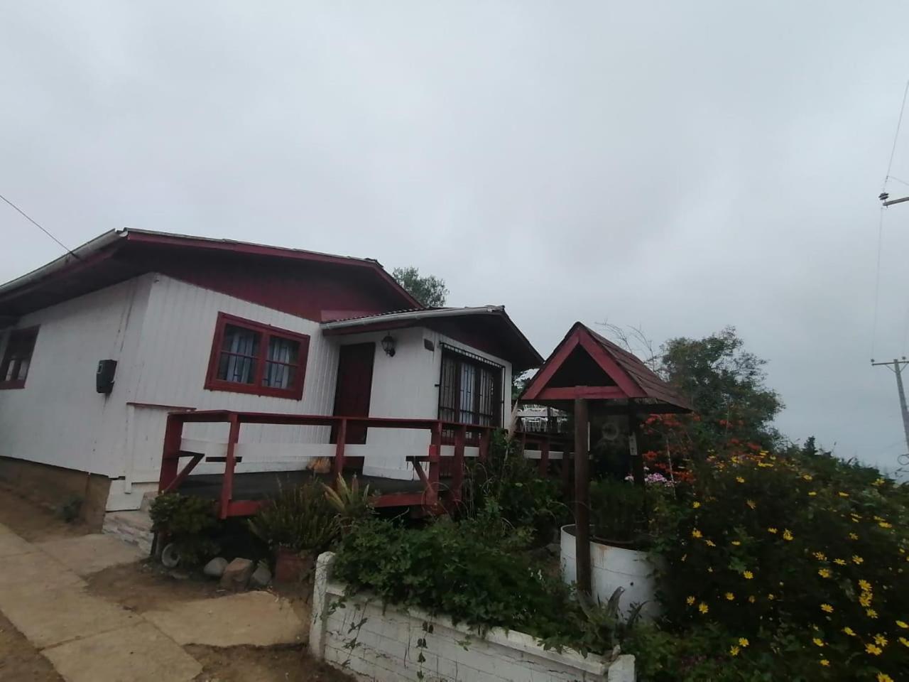 los troncos