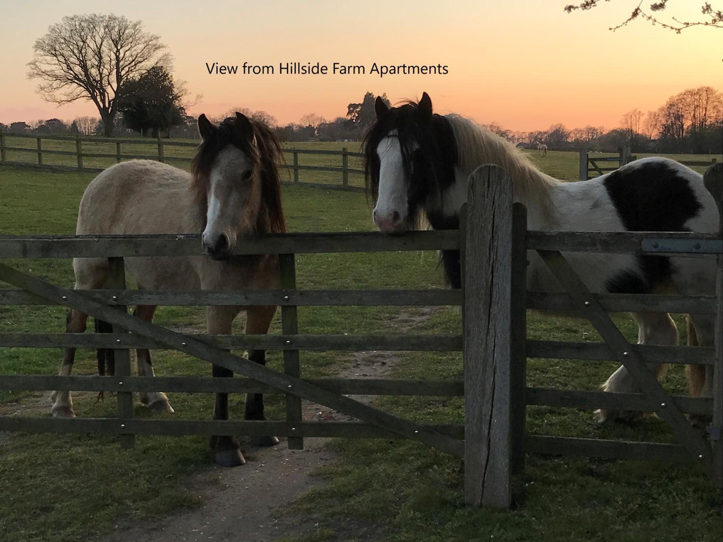 Hillside Farm Barn, photo 7