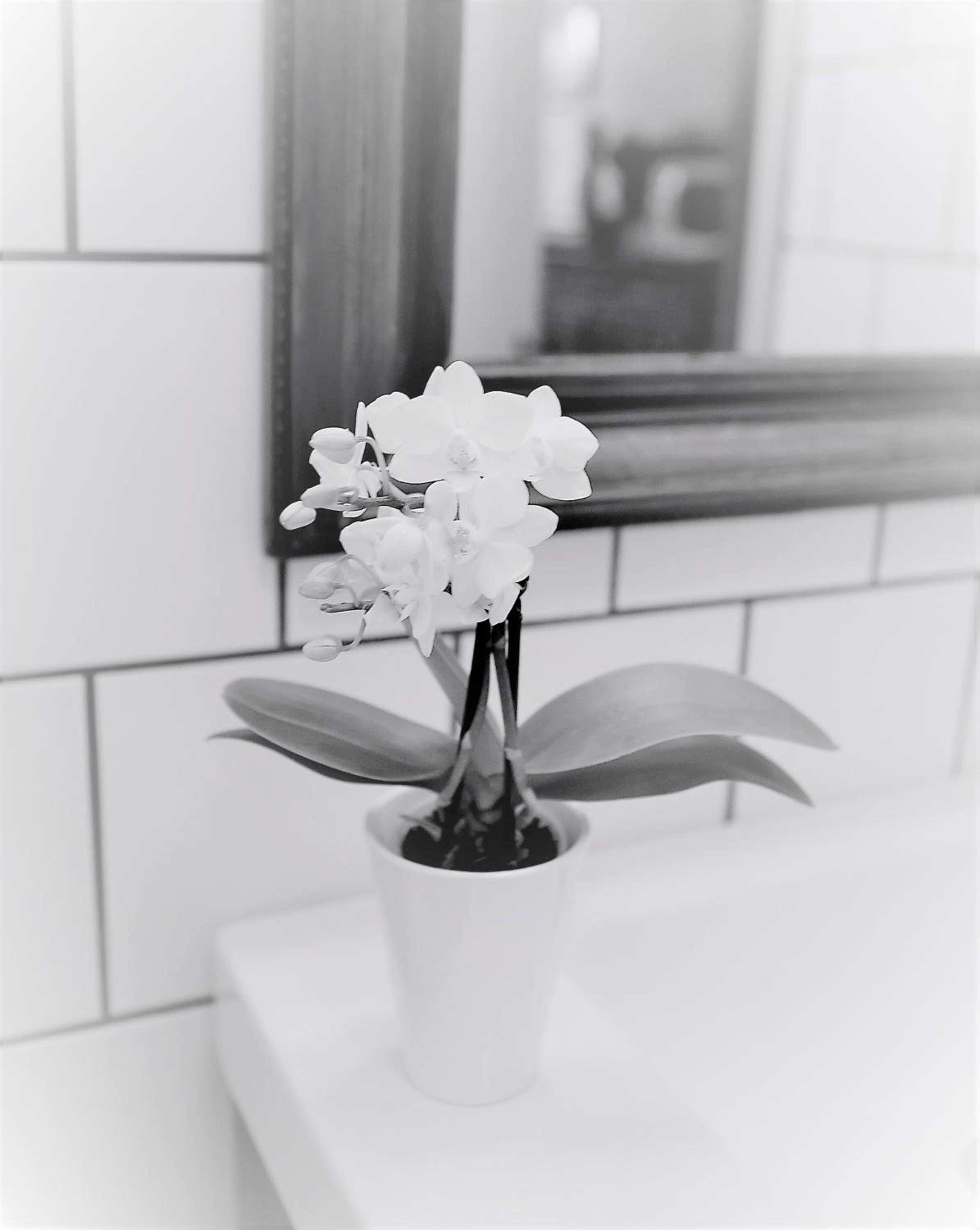 Photo 32