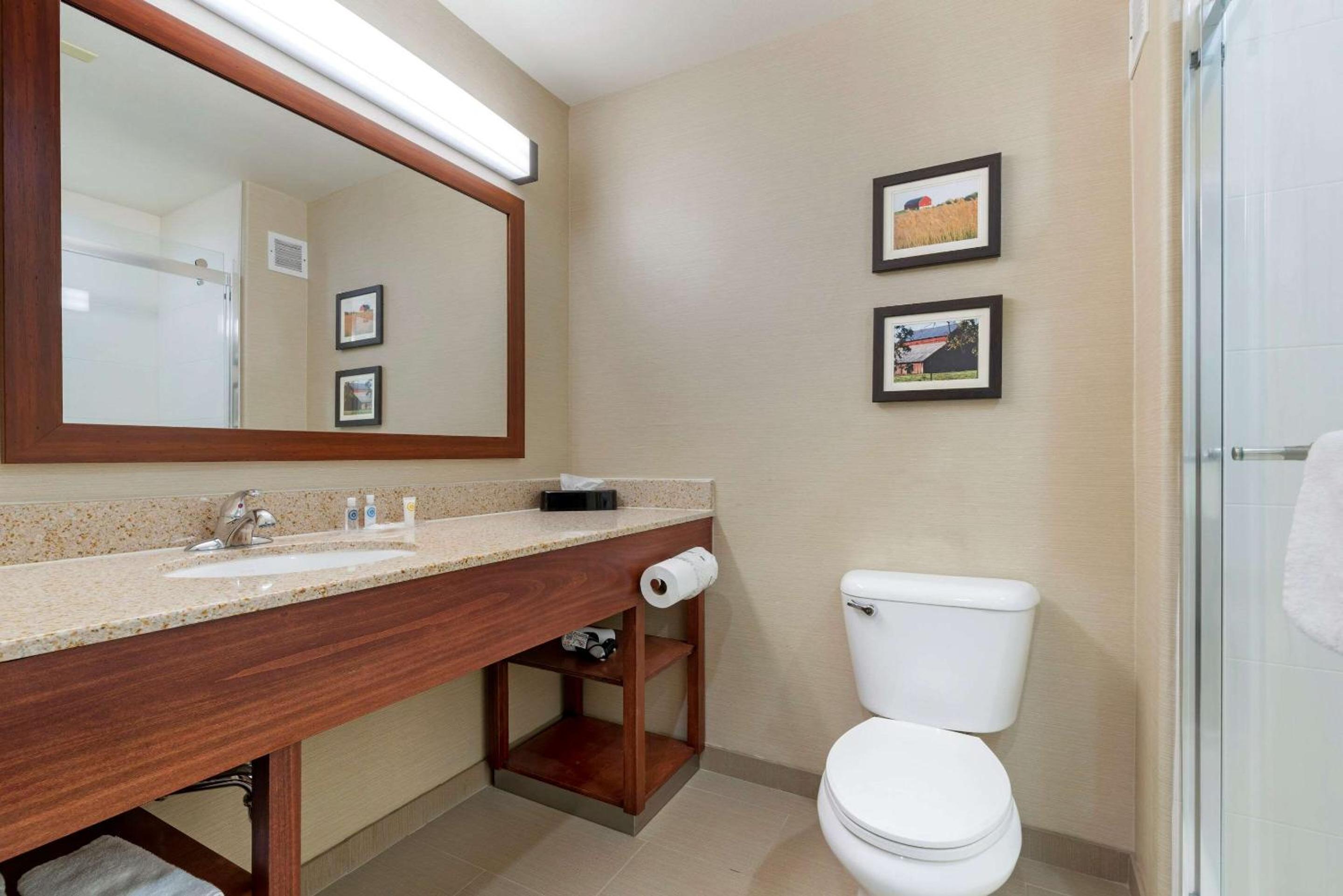 Comfort Suites Marysville-Yuba City - Property Image 17