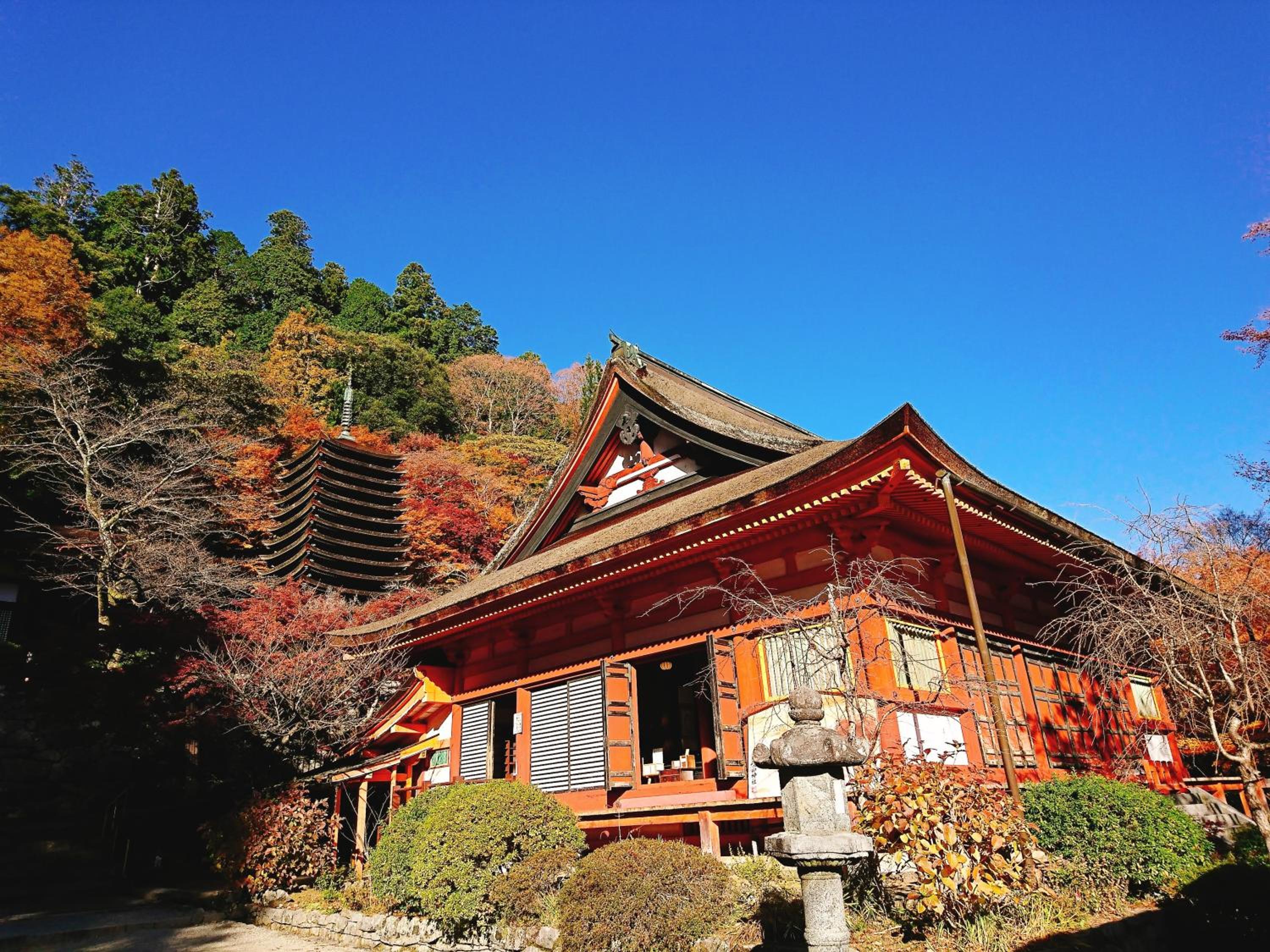 Guesthouse Hajimari