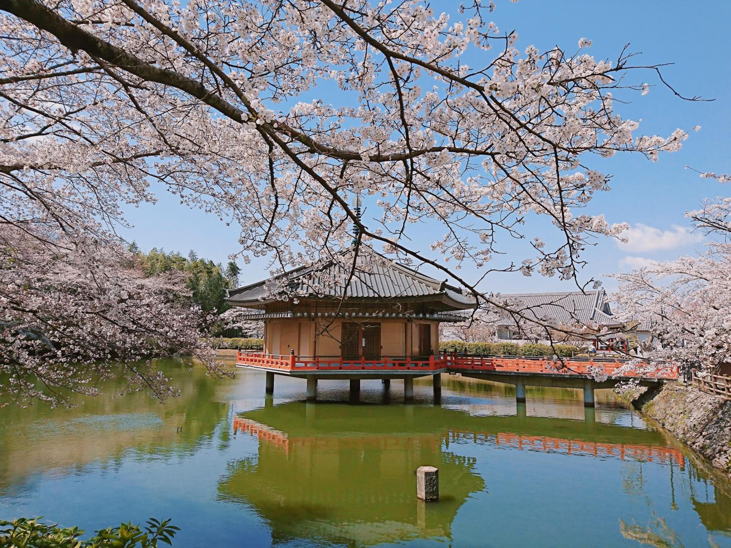 Guesthouse Hajimari