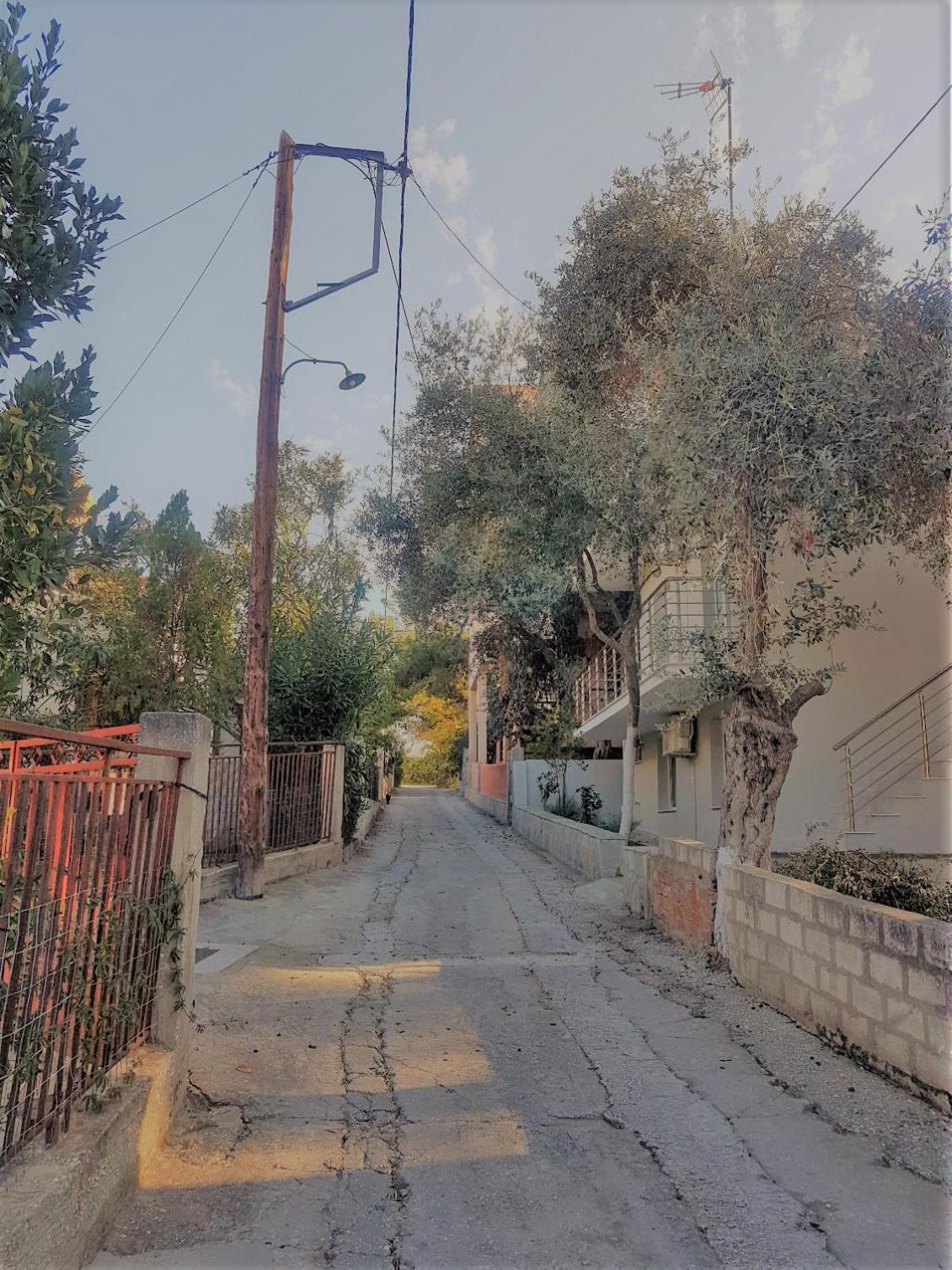 Photo 53