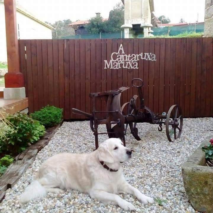 A Cantaruxa Maruxa Turismo Rural