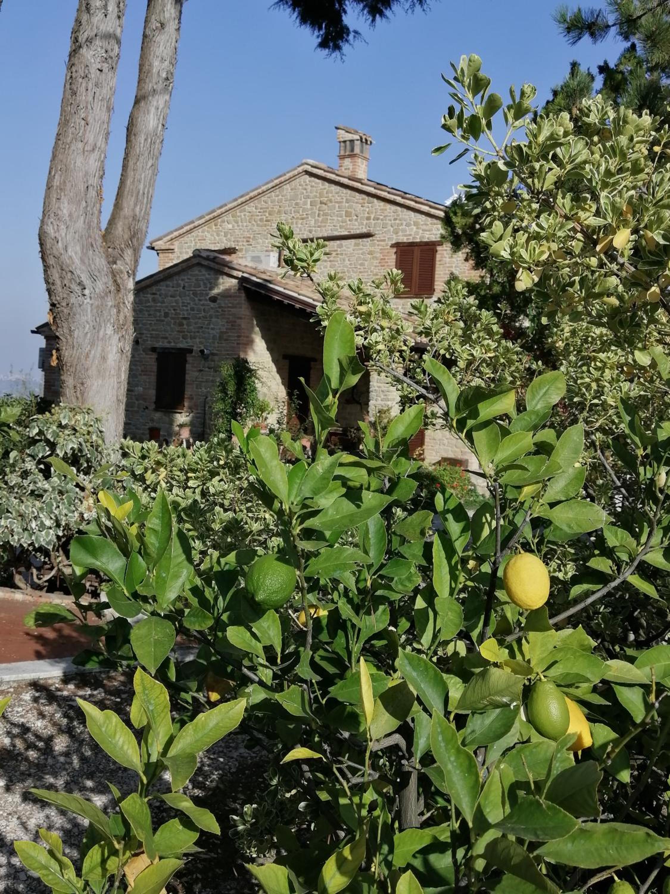 Photo 21