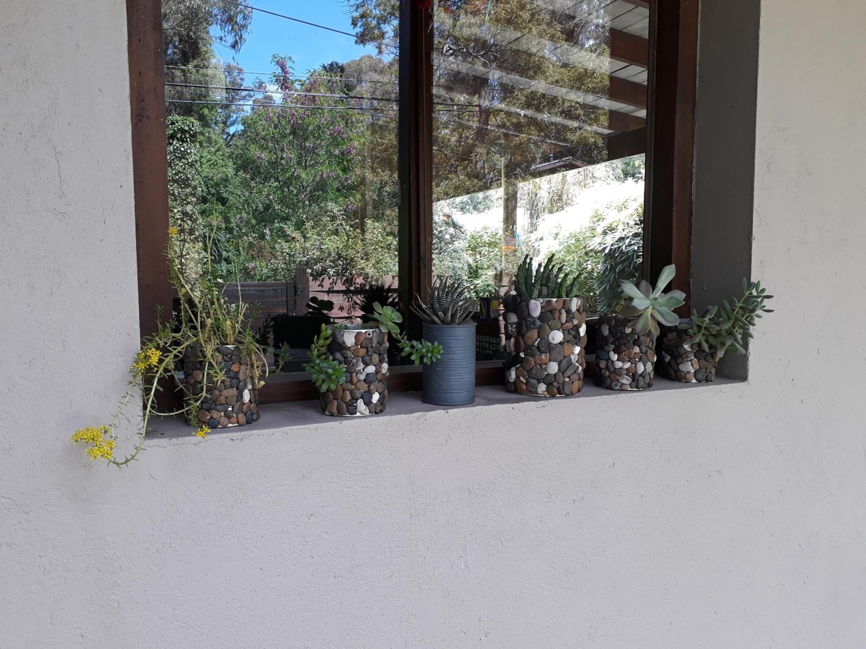 Las Cortaderas Bosque Peralta Ramos