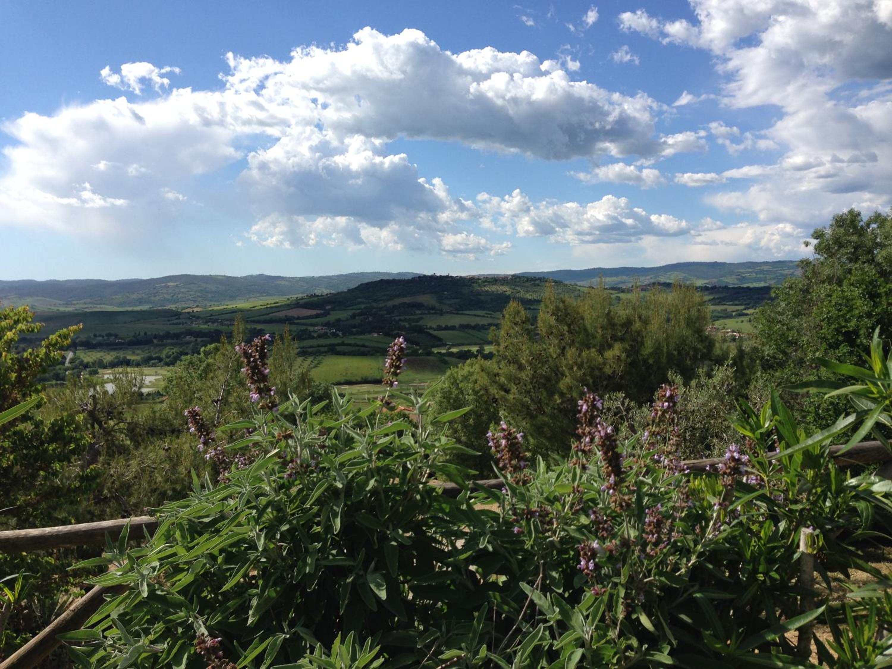 Photo 26