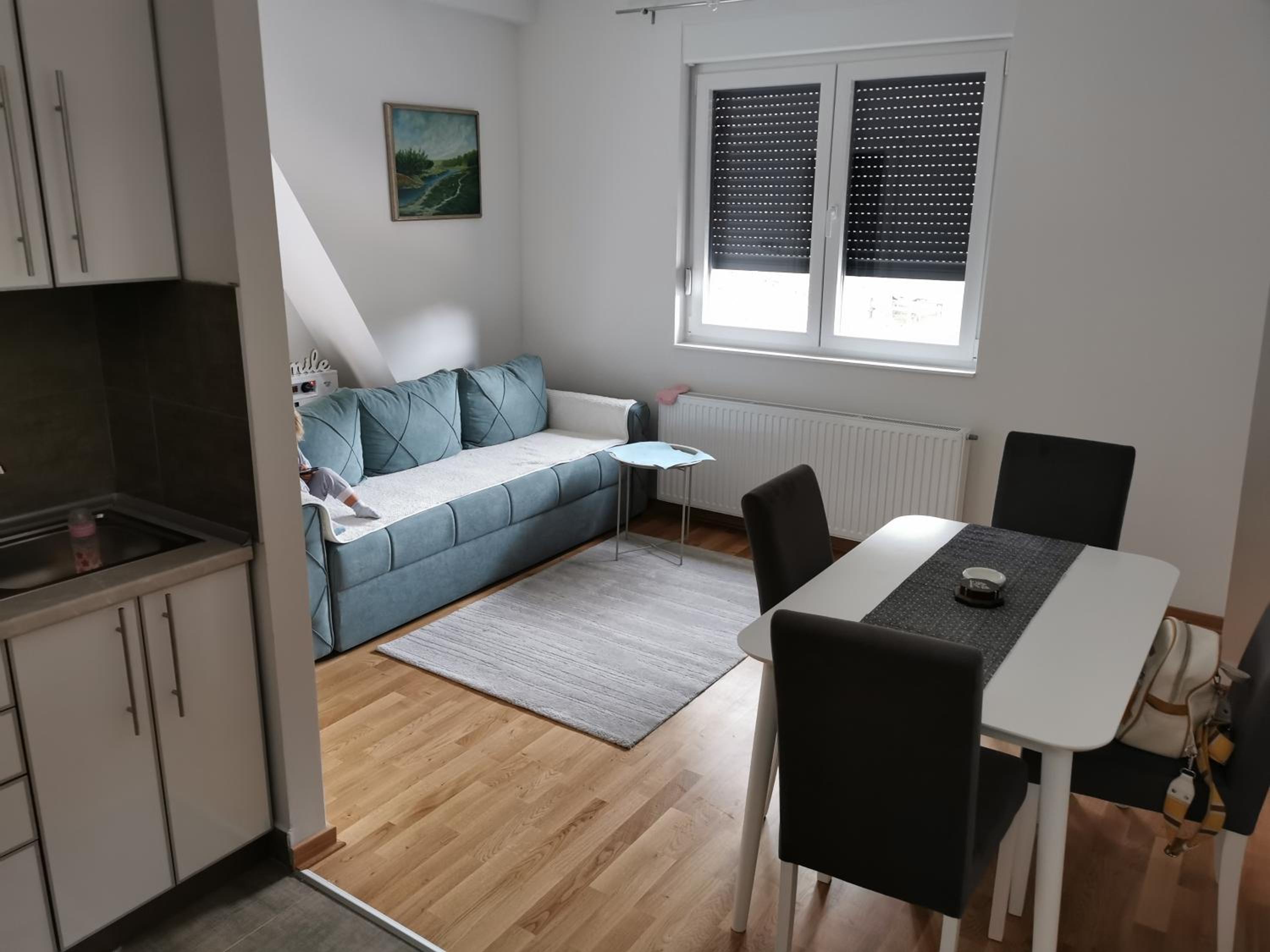 Apartman Divcigora Sokic view 5