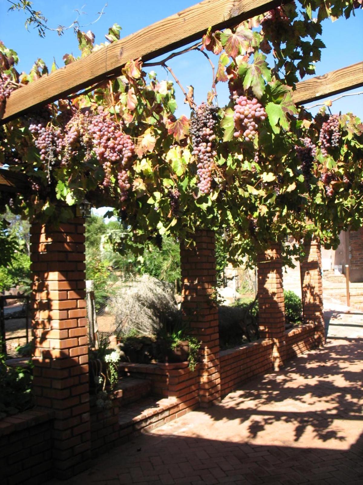 Quinta Maria en la Ruta del Vino view 2