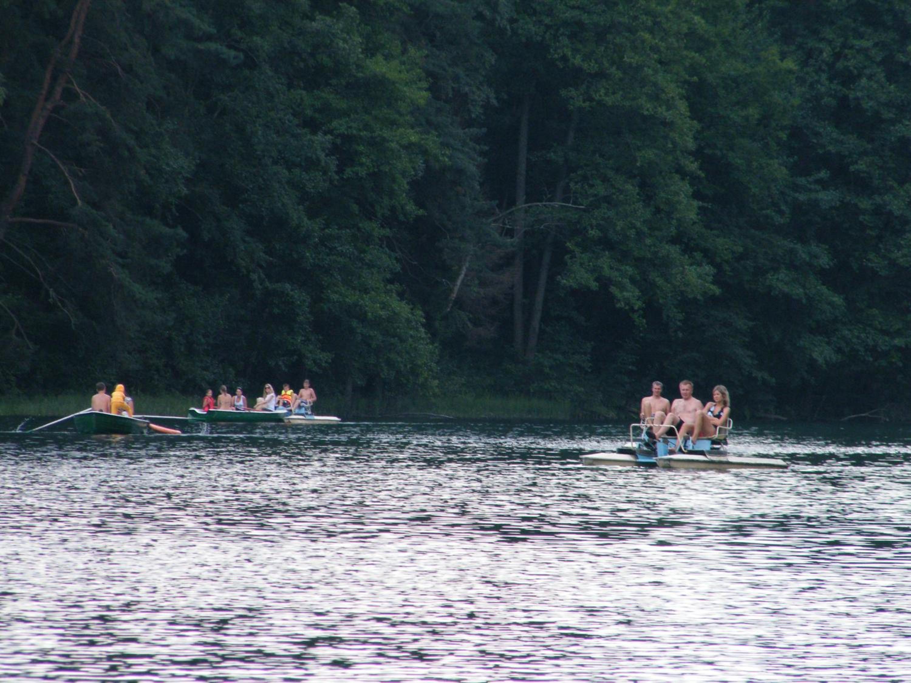Photo 41