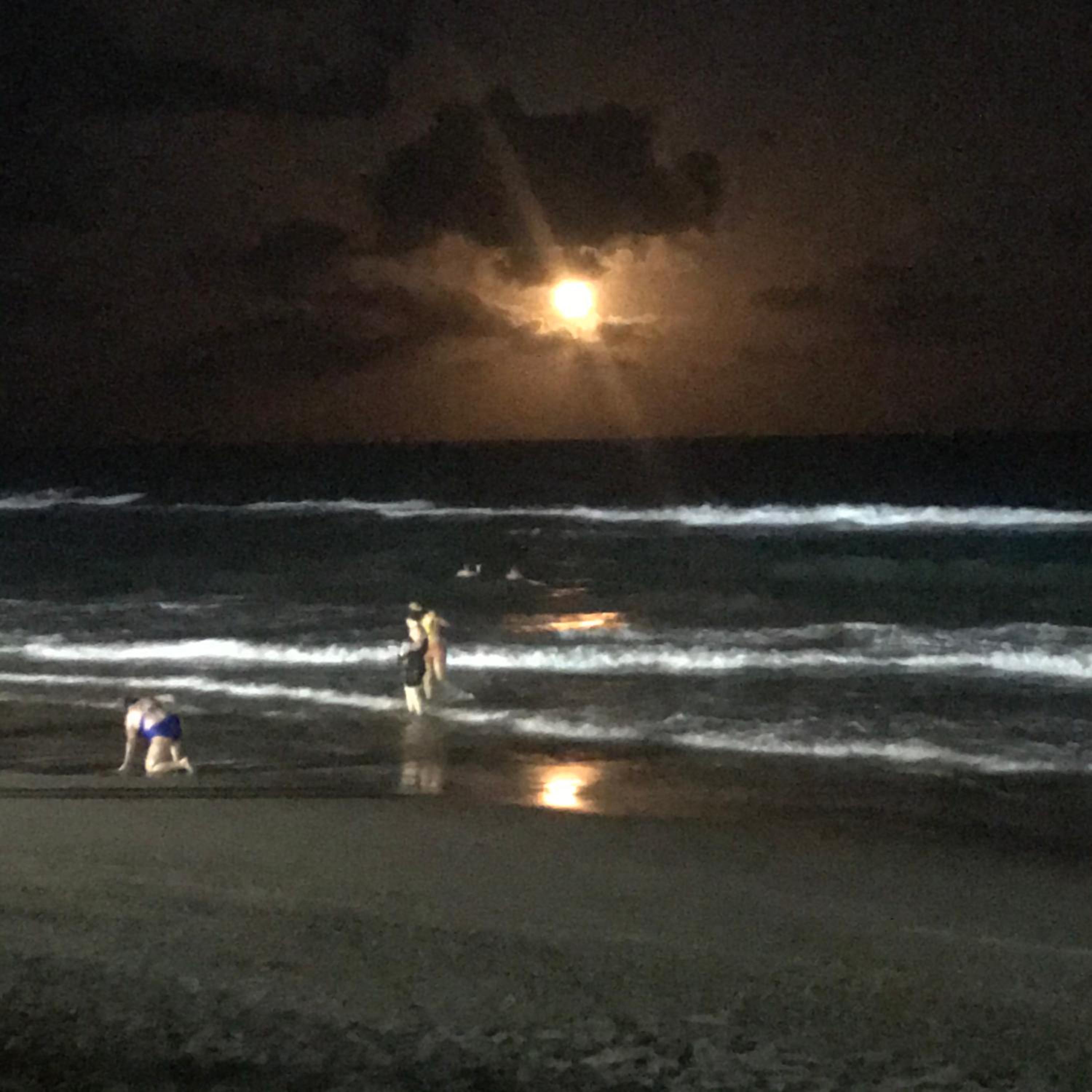 Tamandaré Duplex 100m das Piscinas Naturais de Carneiros