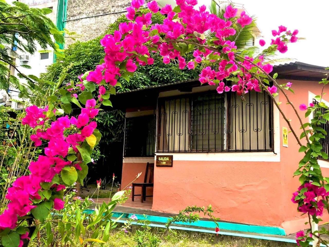 Hotel Cabañas Ecologicas Cayapas - Image 1