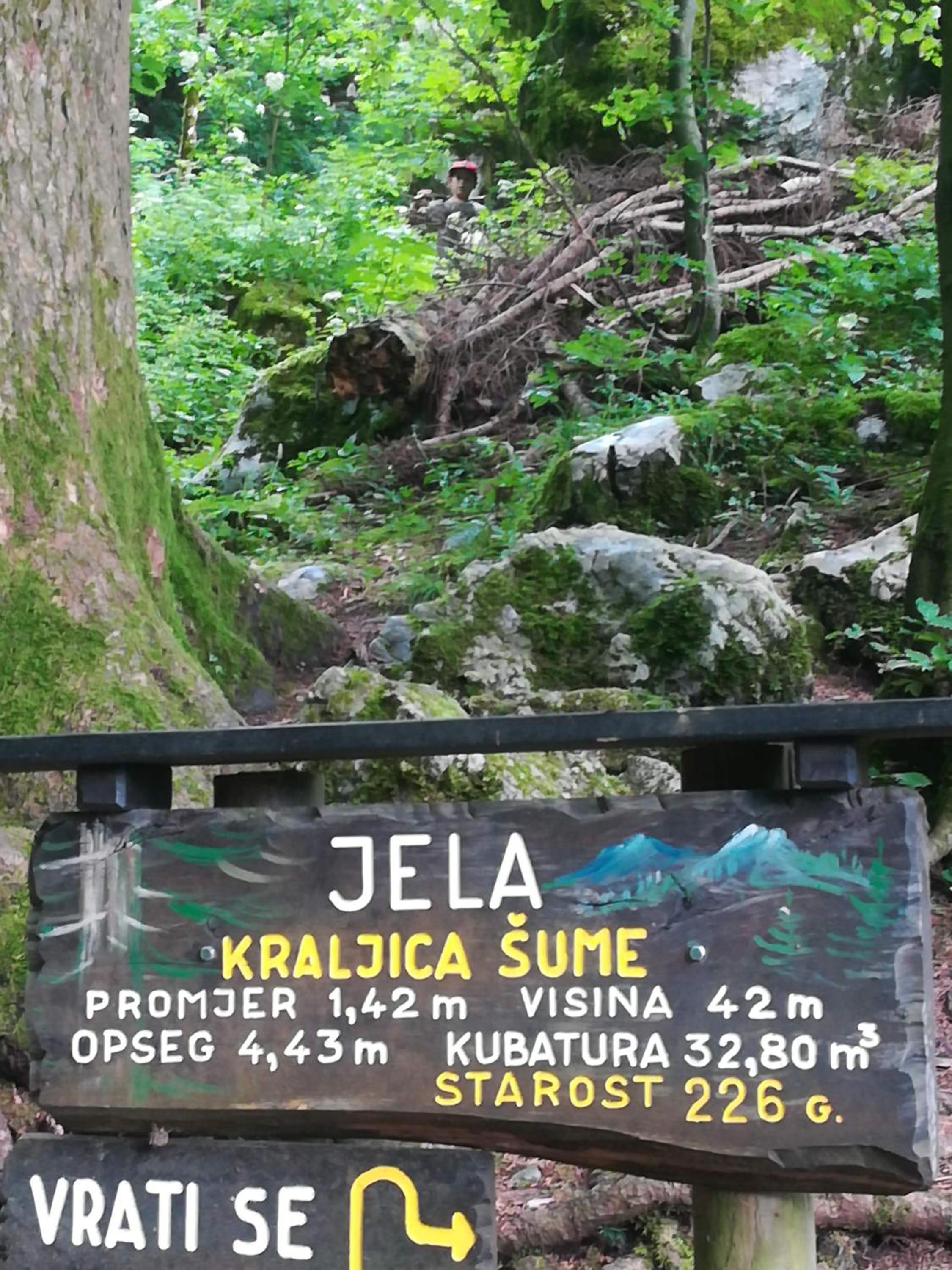 Photo 20