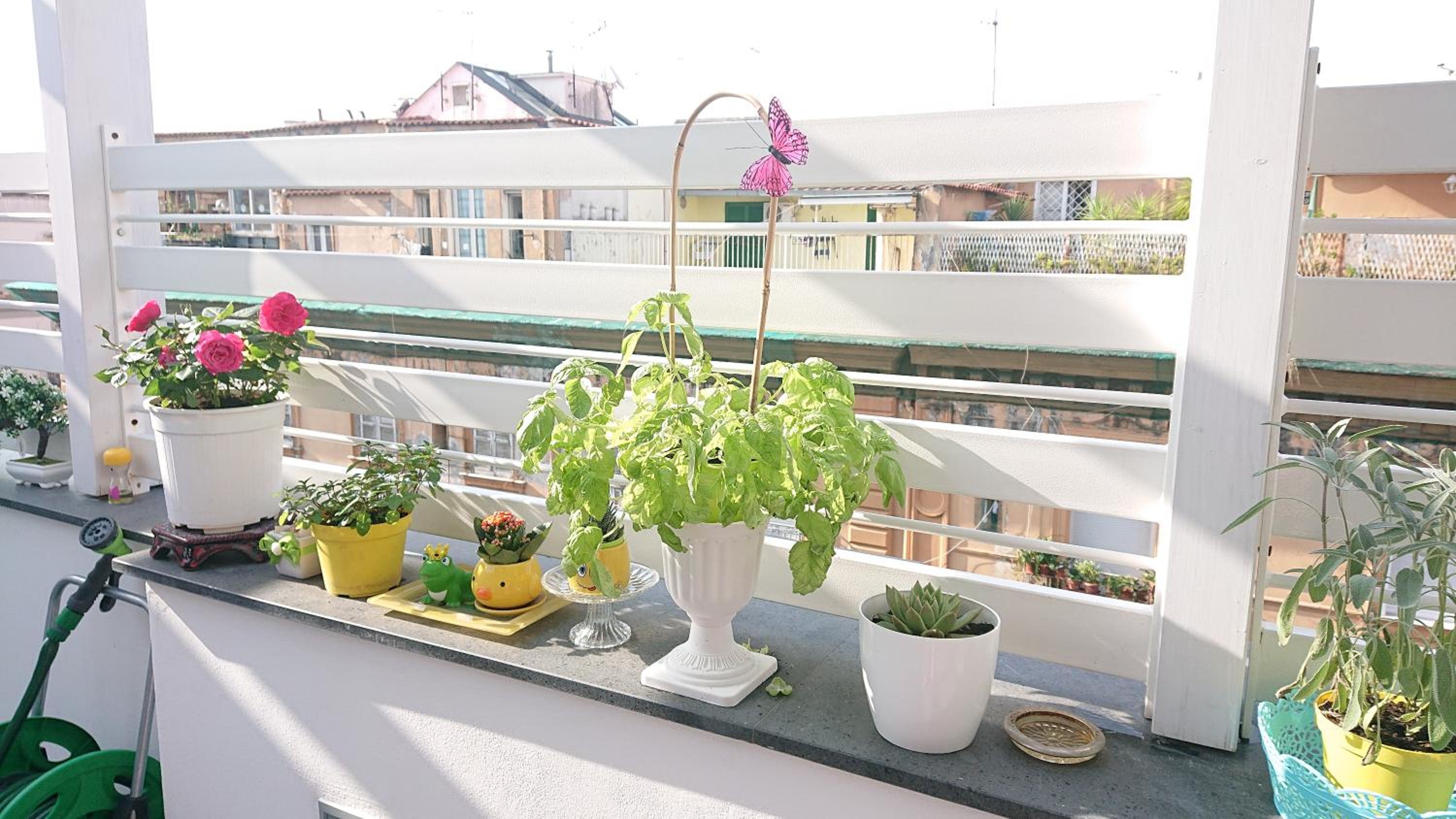 Sky-Terrace in Central Station, 3 bedrooms