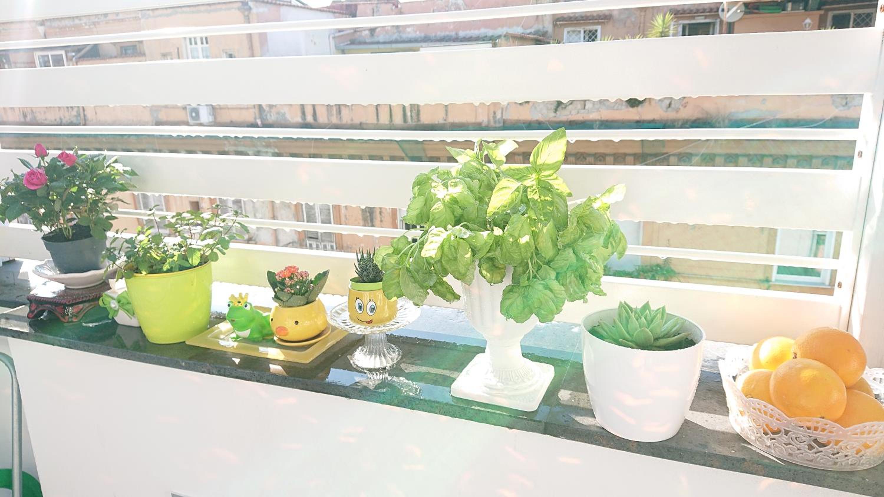 Sky-Terrace in Central Station, 3 bedrooms