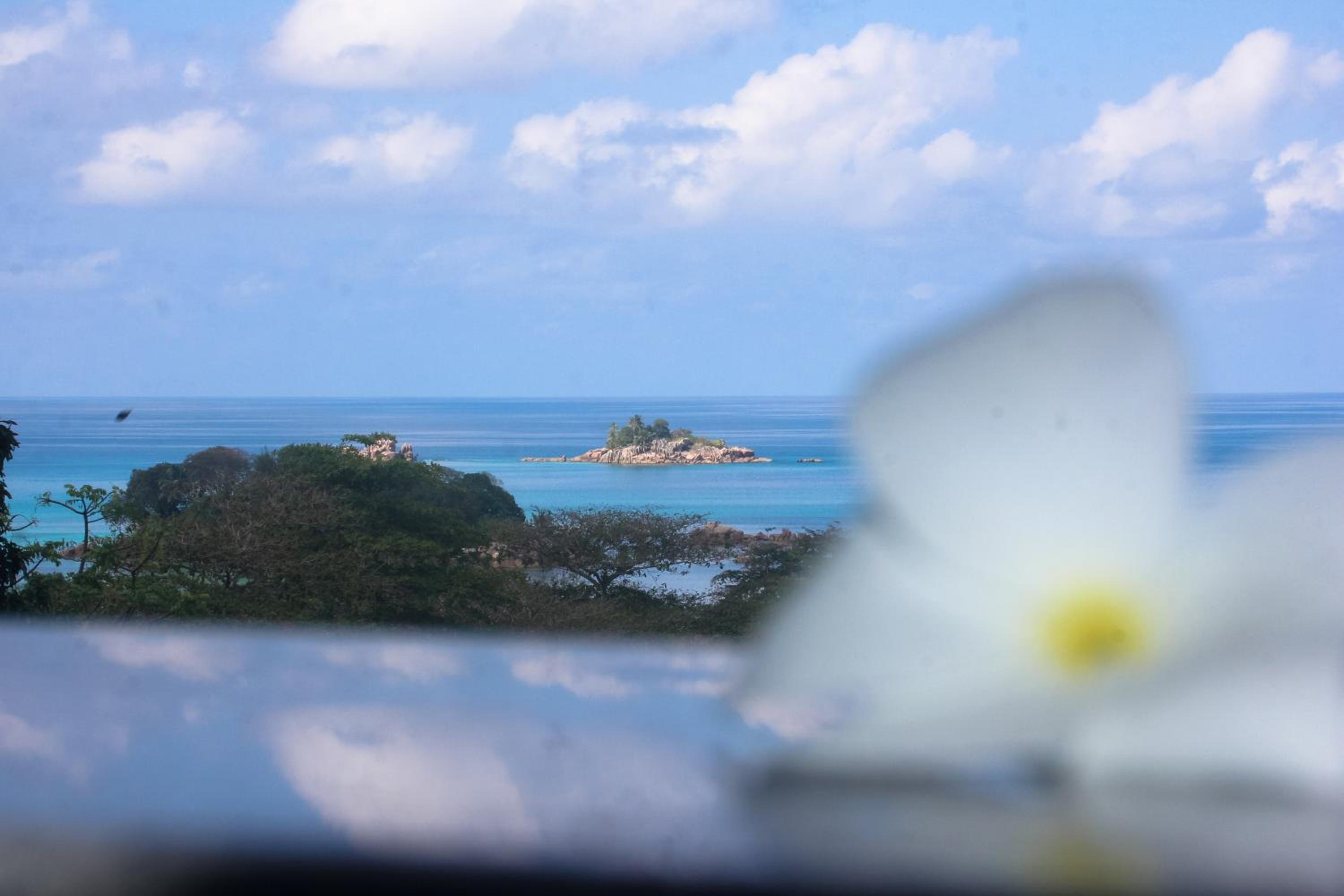 Exotic Guest House, photo 17
