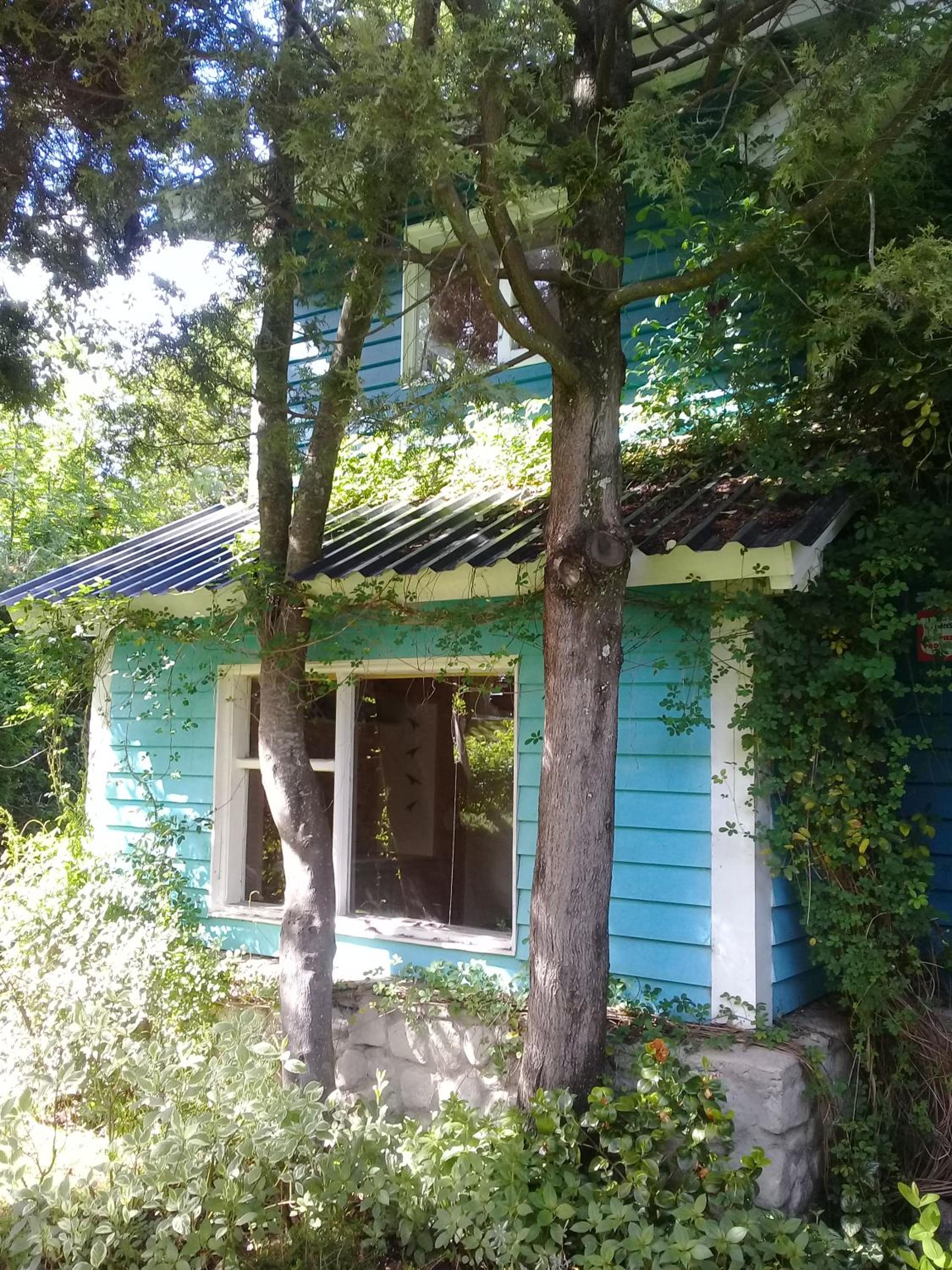 Dodo House Bed & Breakfast