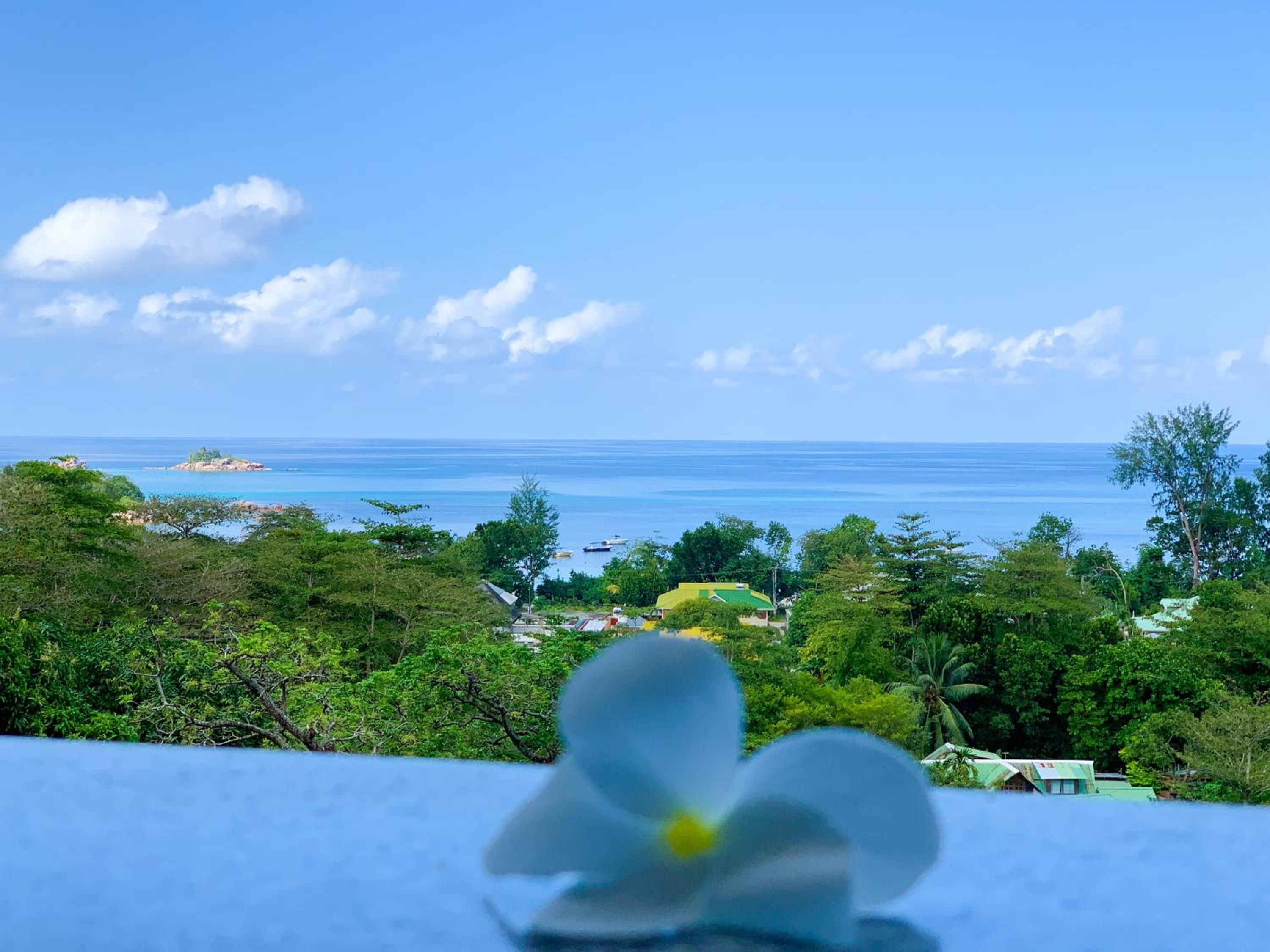 Exotic Guest House, photo 14