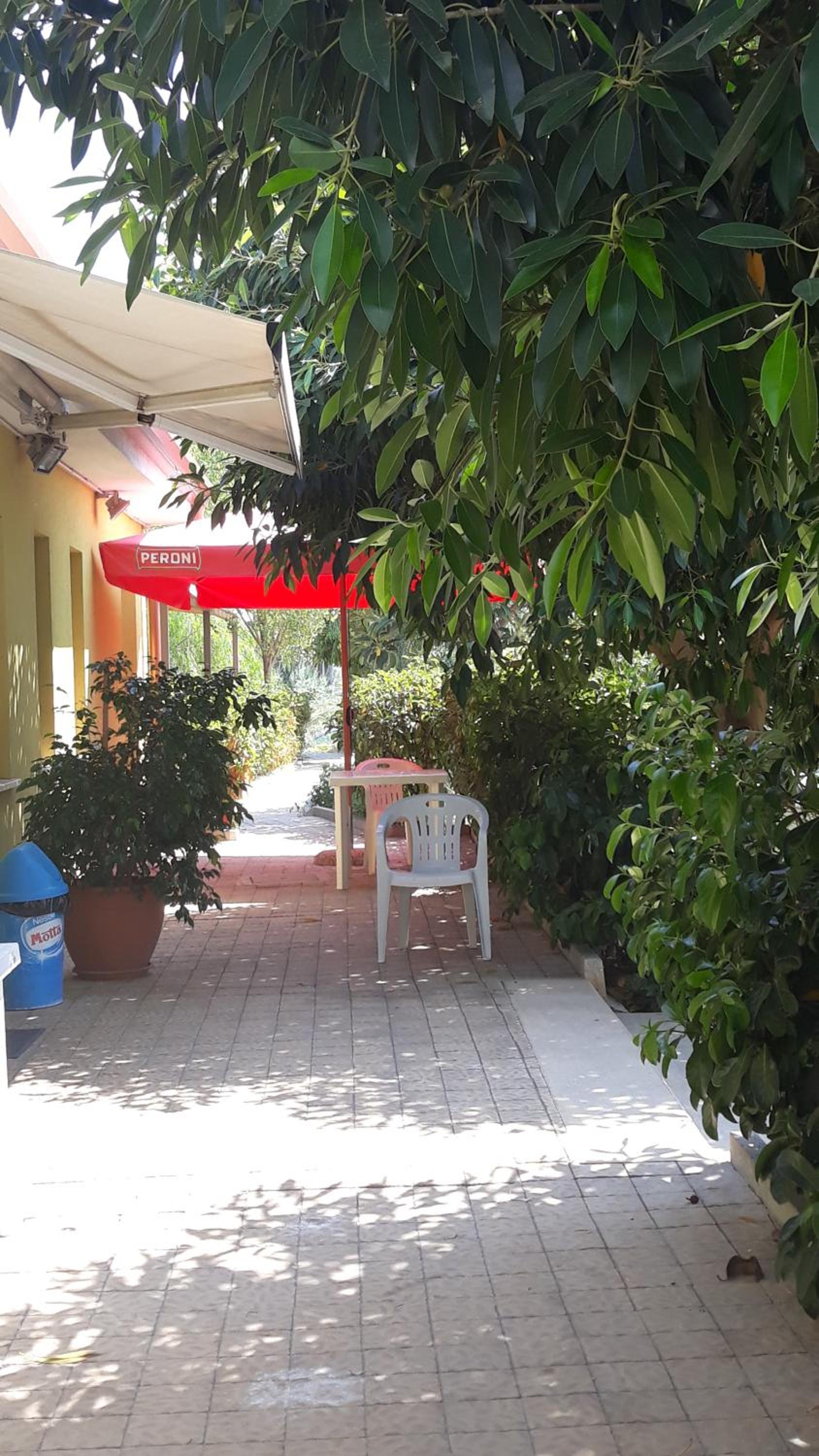 Photo 17