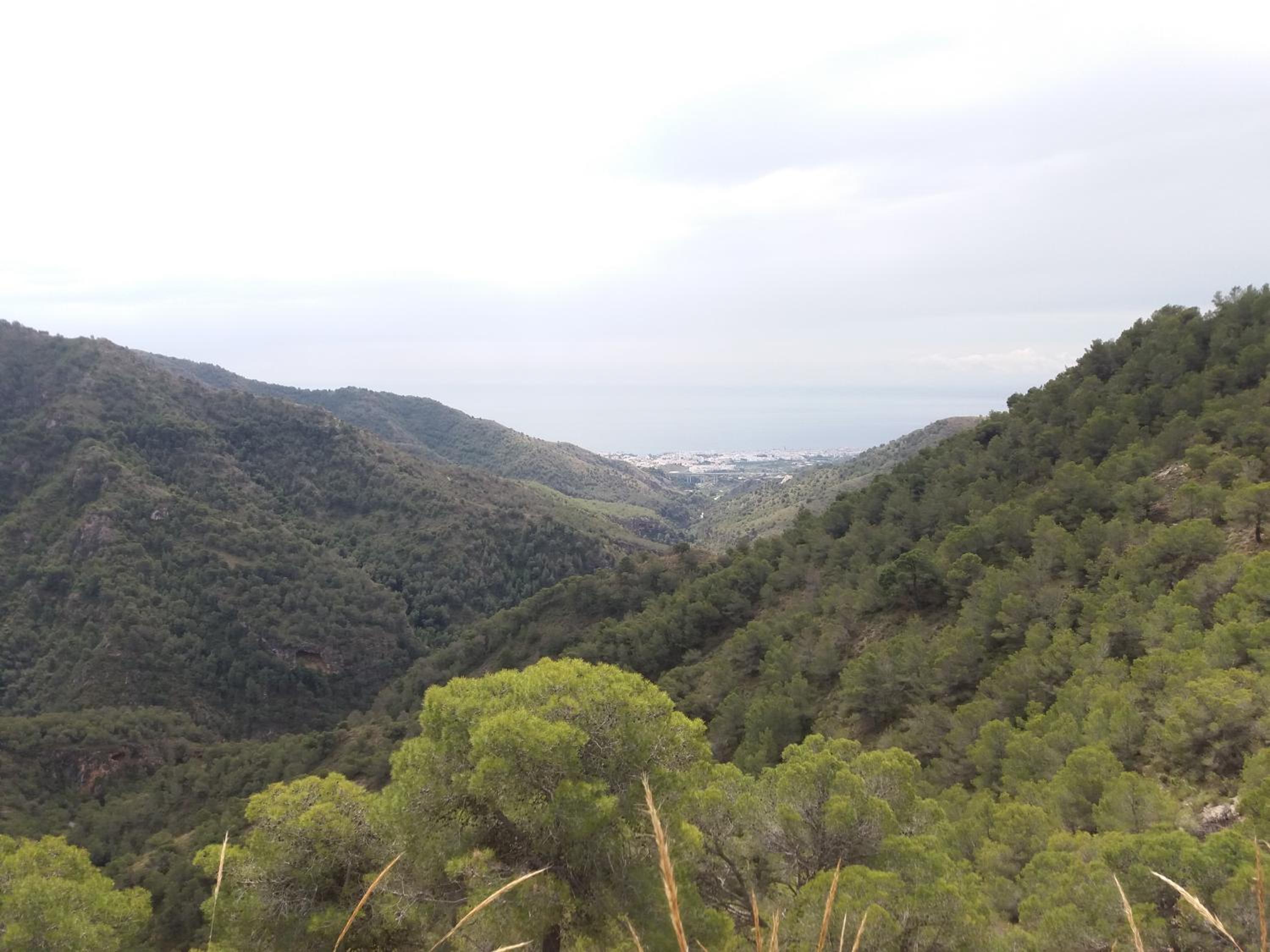 Photo 46